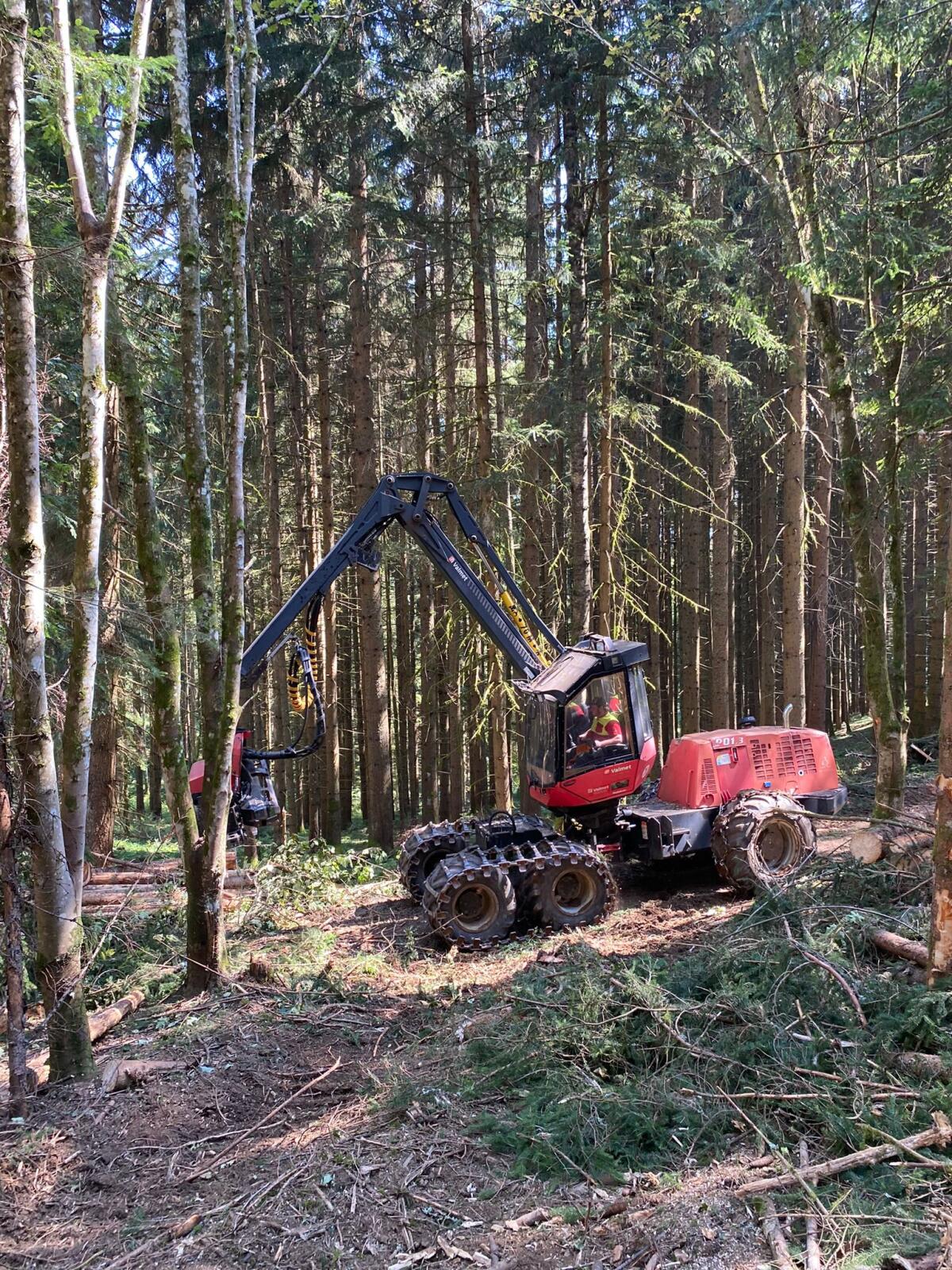 Harvester Komatsu Valmet 901.3 2