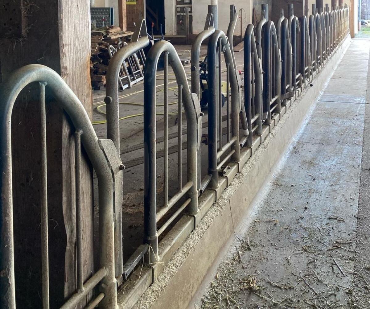 Fressgitter Schauer Schwedenfressgitter 1