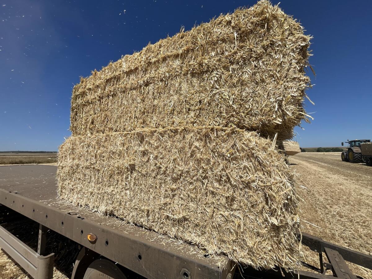 Verkaufe Stroh Ernte 2025 1