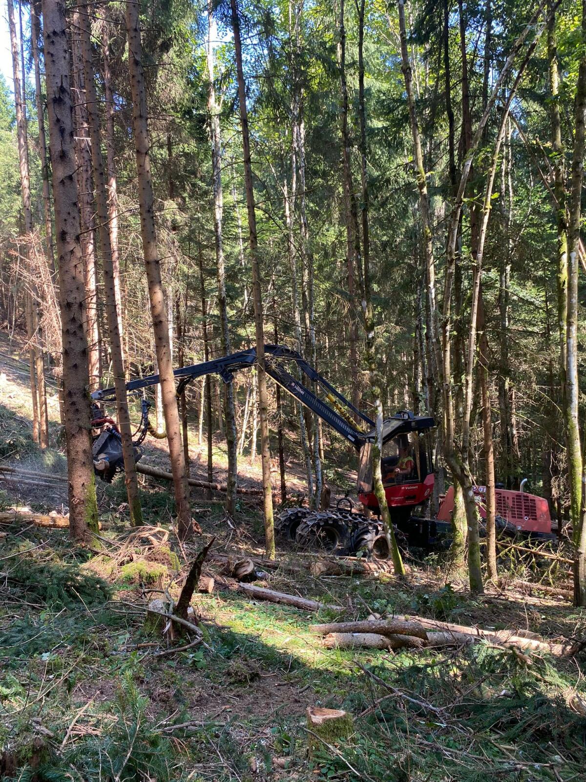 Harvester Komatsu Valmet 901.3 3