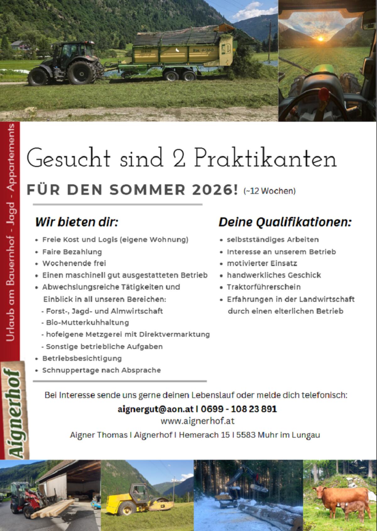 Praktikant (m) für Sommer 2026 gesucht 1