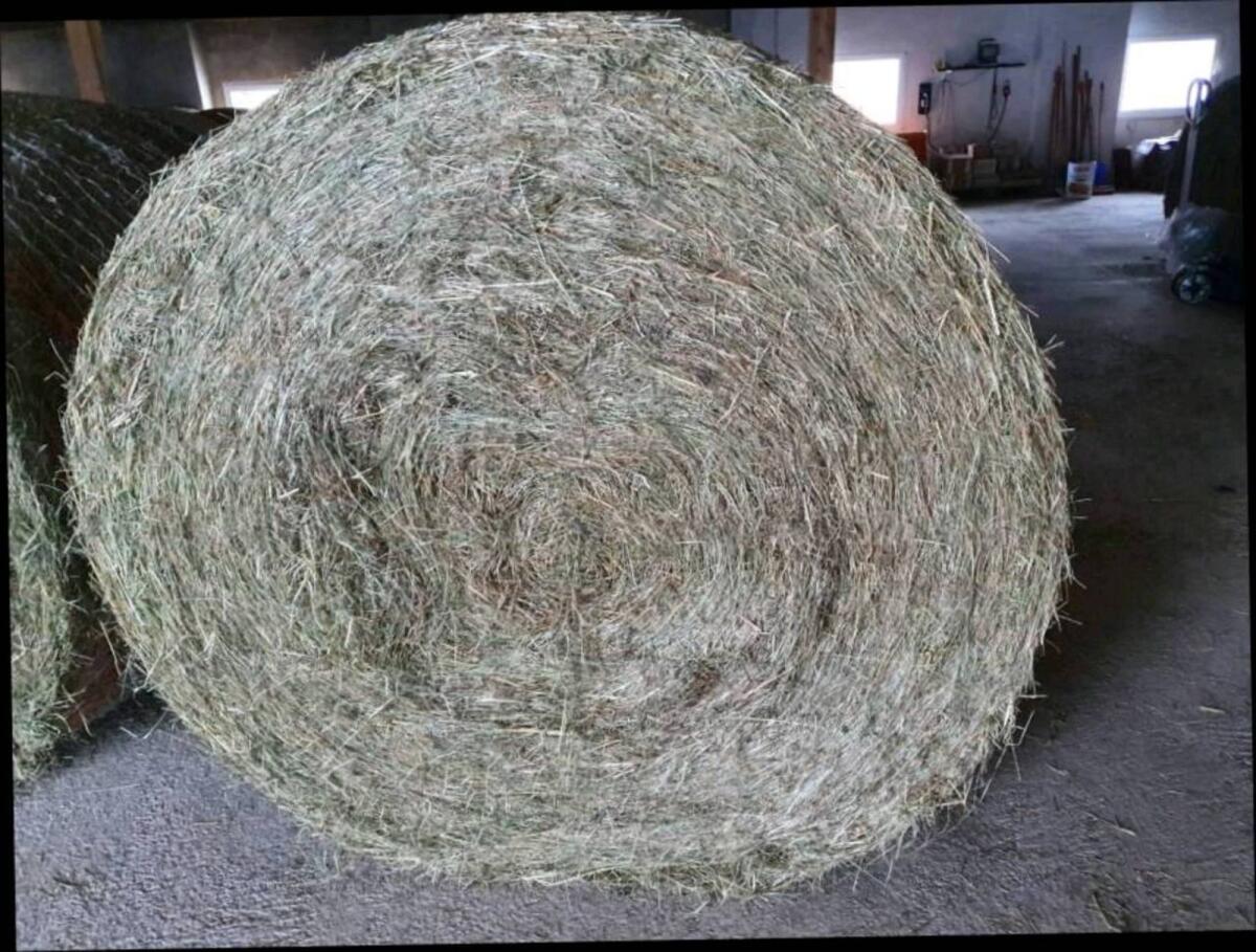 Heuballen 1