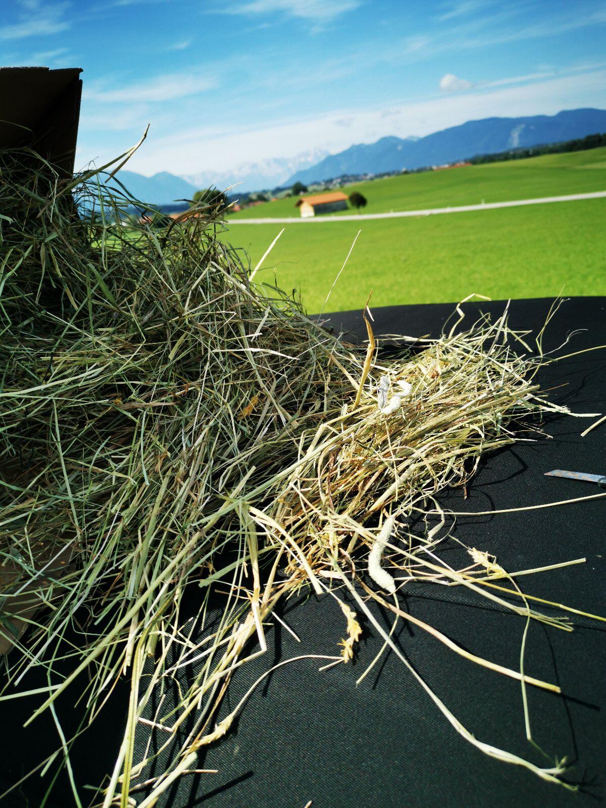 Heu, Heuballen, Heurollen, Pferdeheu 2