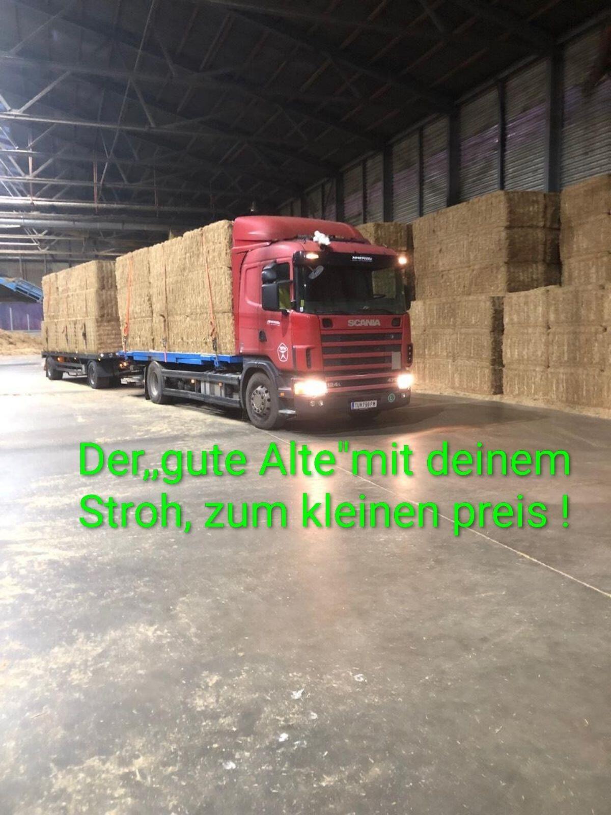 Stroh kurz und fein entstaubt, zumindest so wie Manz-Stroh 1