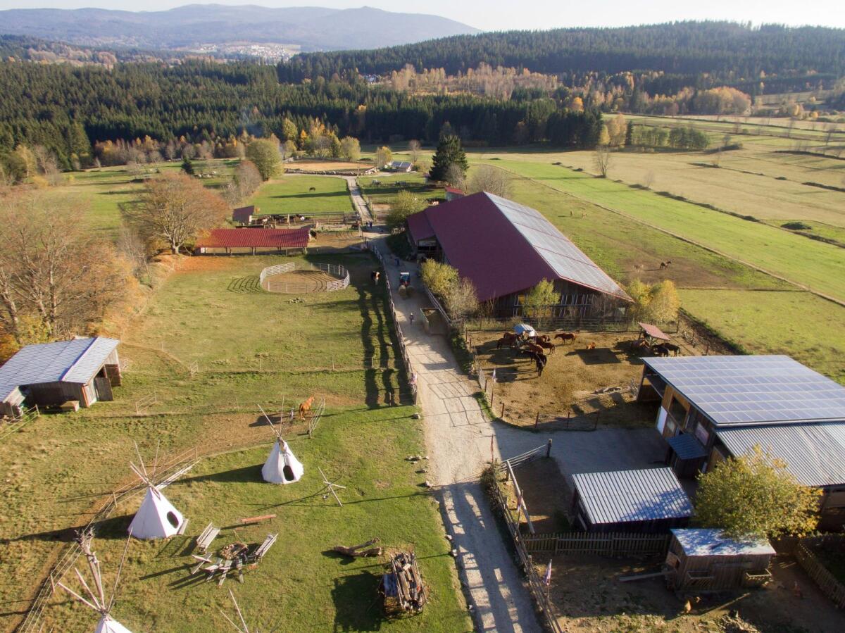 Mitarbeiter für Stall gesucht 1