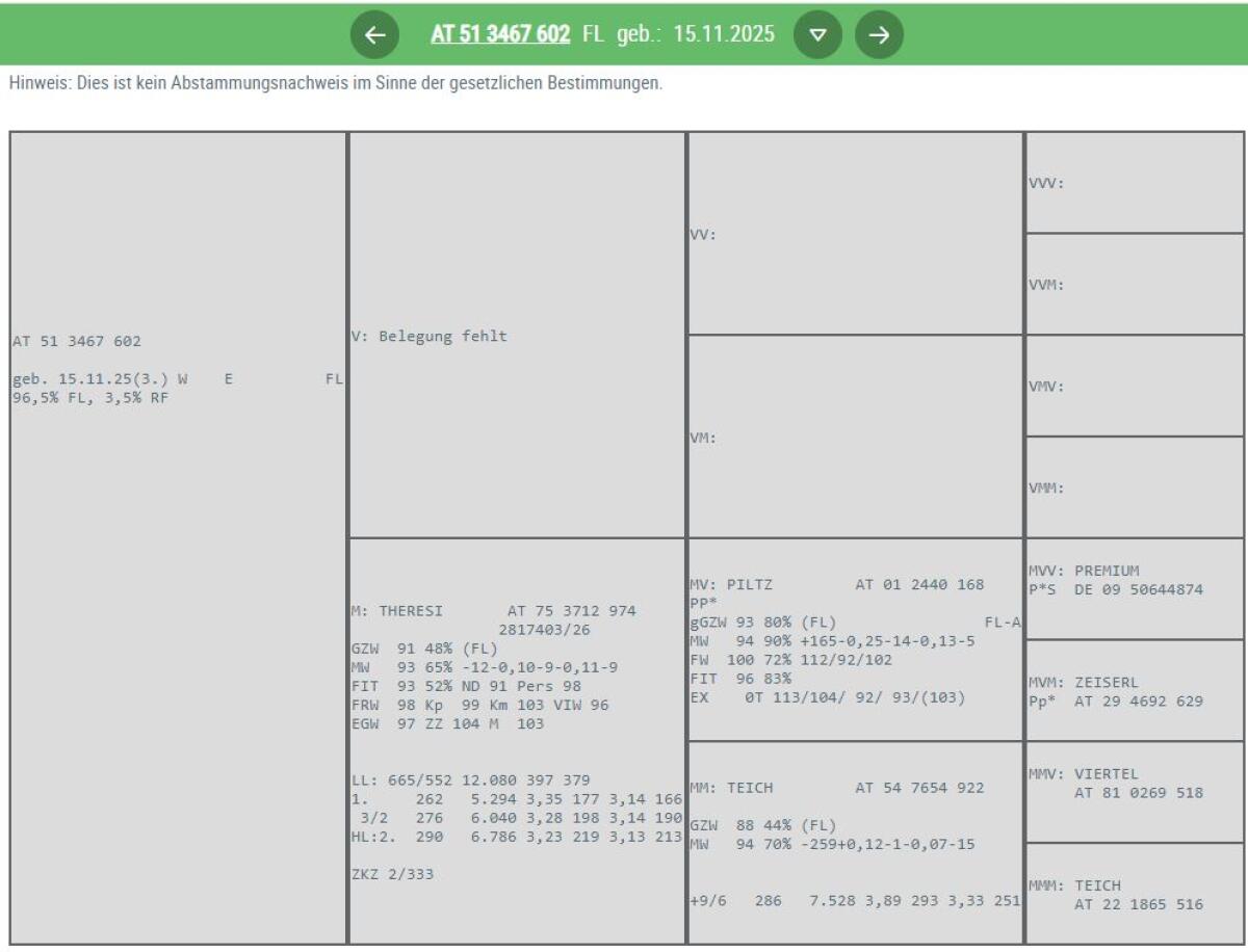 5 Bio FV hornlose Kuhkälber 3