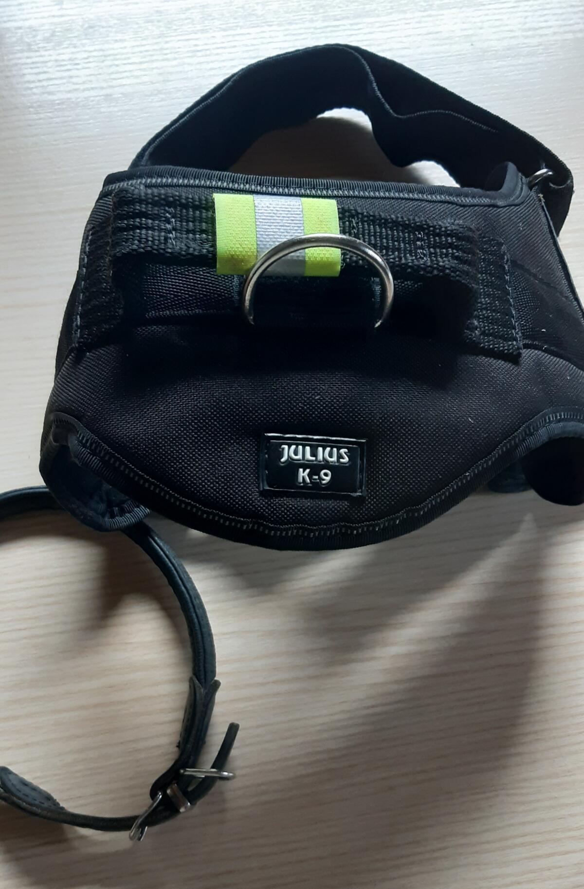 Brustgurt für Hund inkl. Lederleine Julius-K9 2