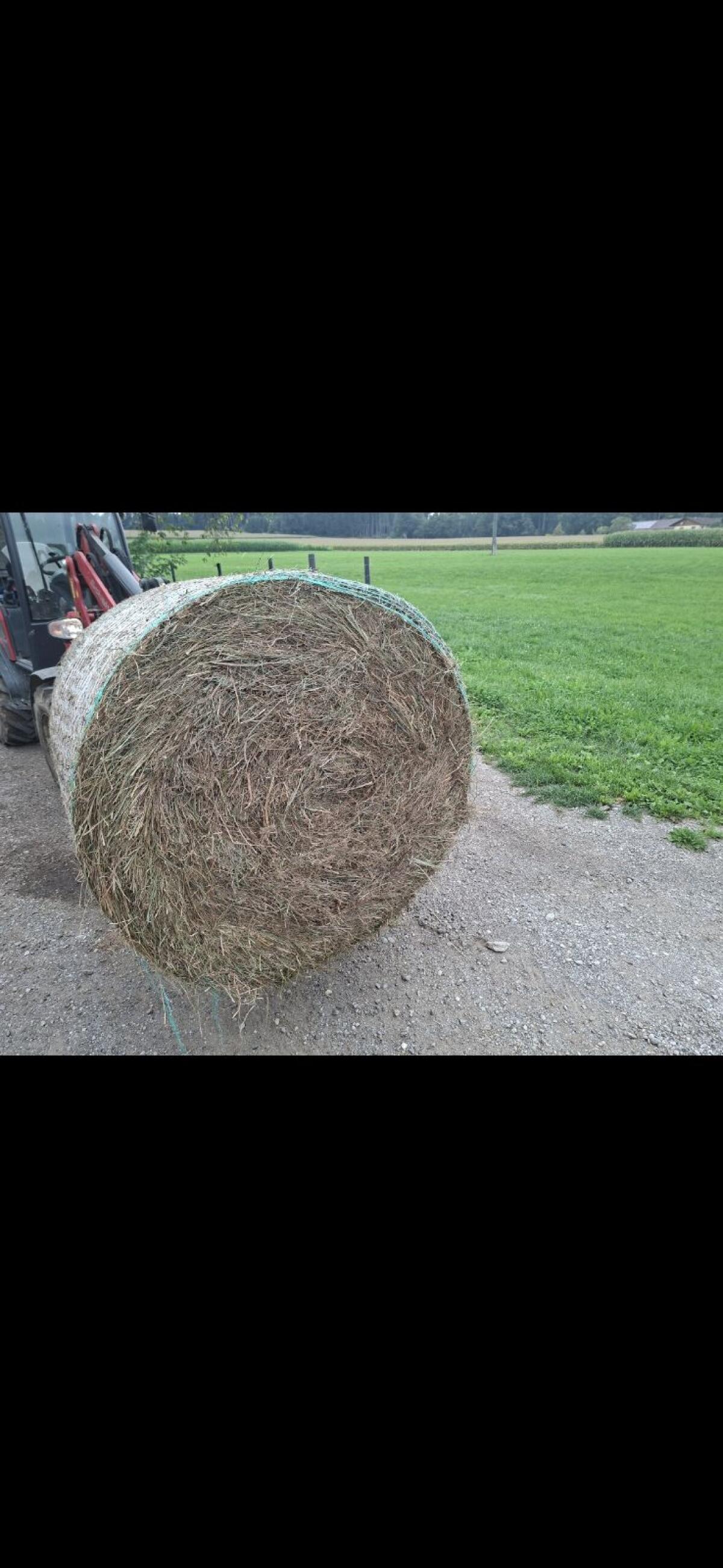 Heuballen 1. und 2. Schnitt Pferdeheu 1