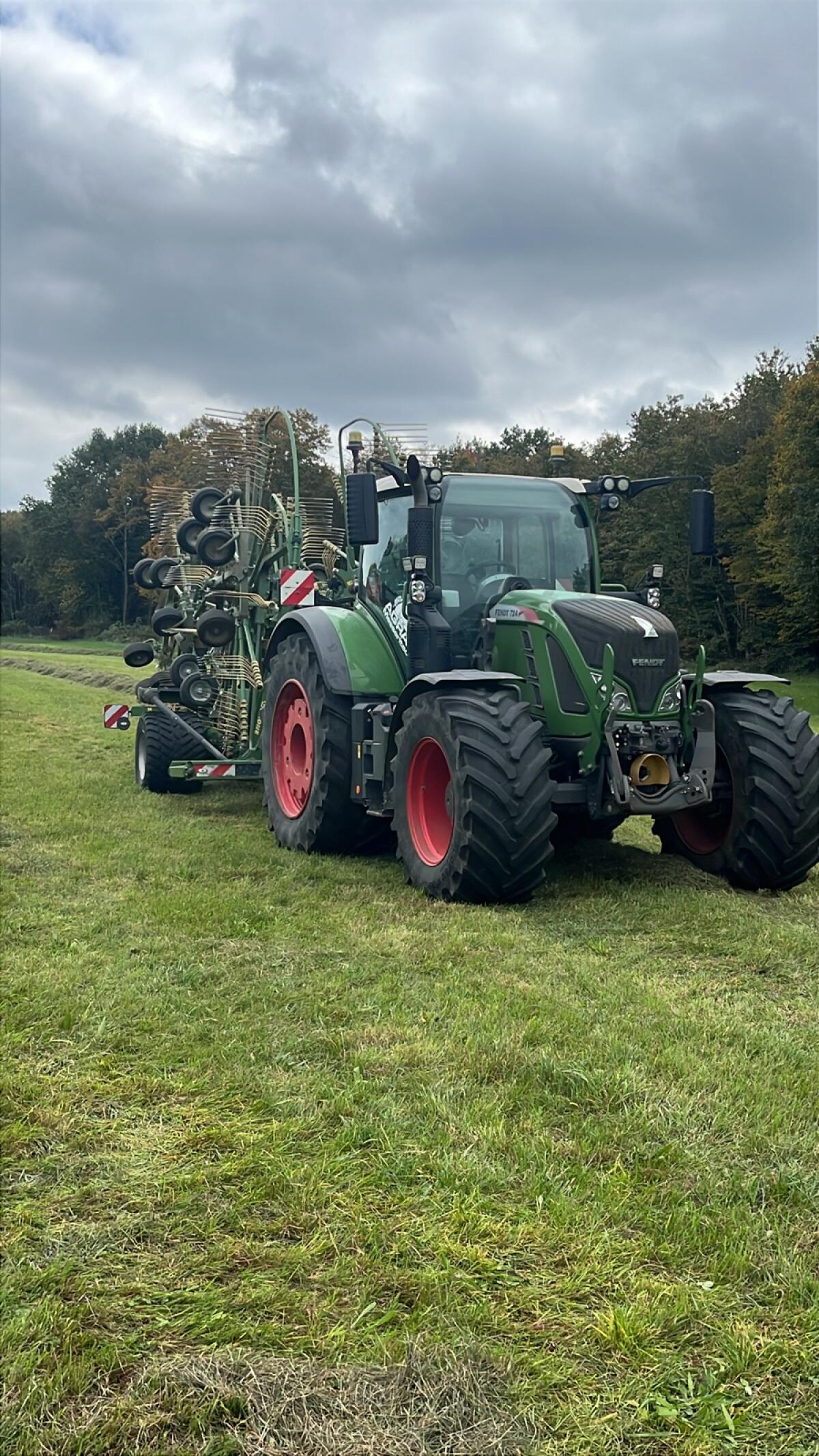 LUZERNE gehäckselt 3