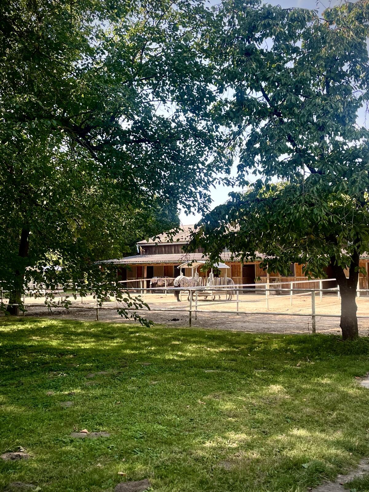 Stallhilfe für Pferdebetrieb 1