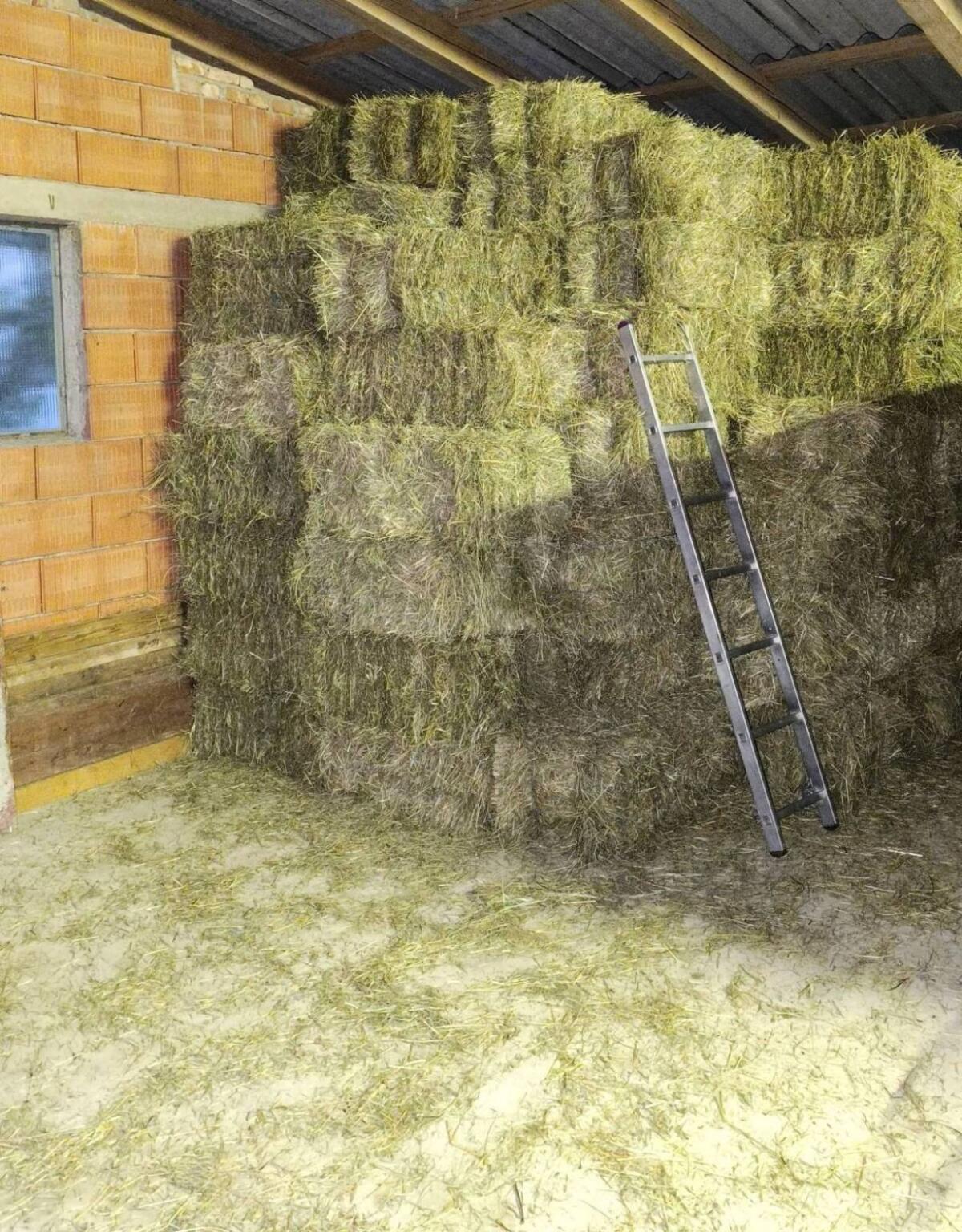 Heuballen klein, Pferdeheu, Heu 2