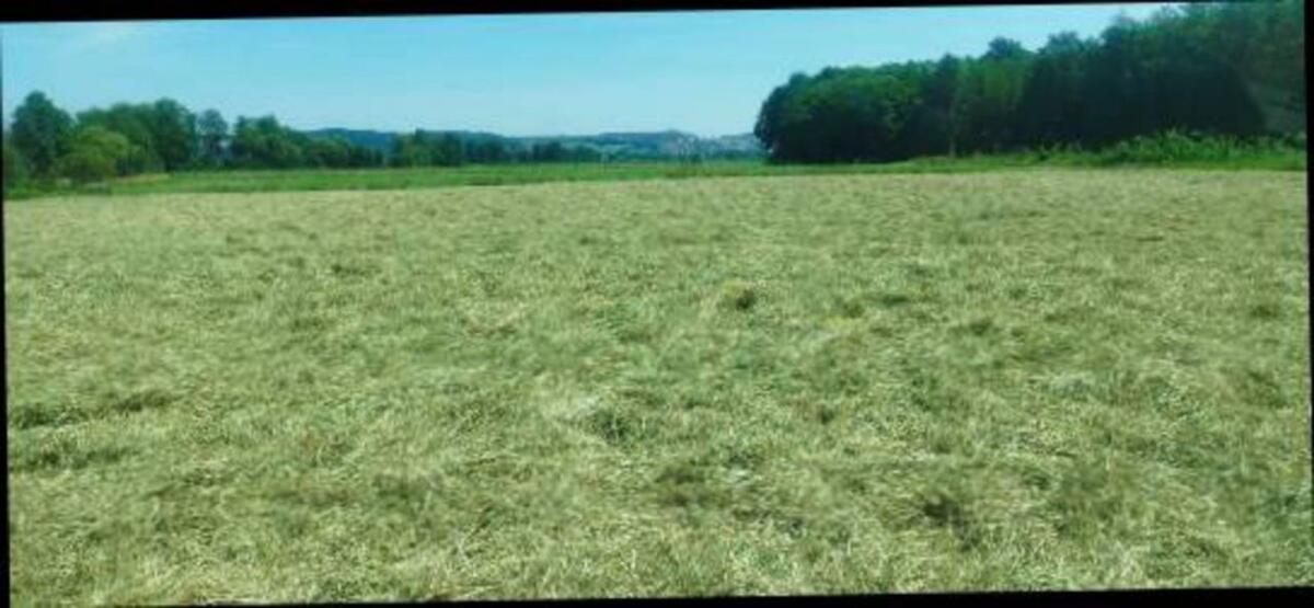 Suche Grünland- und Ackerflächen für Heuerzeugung 2