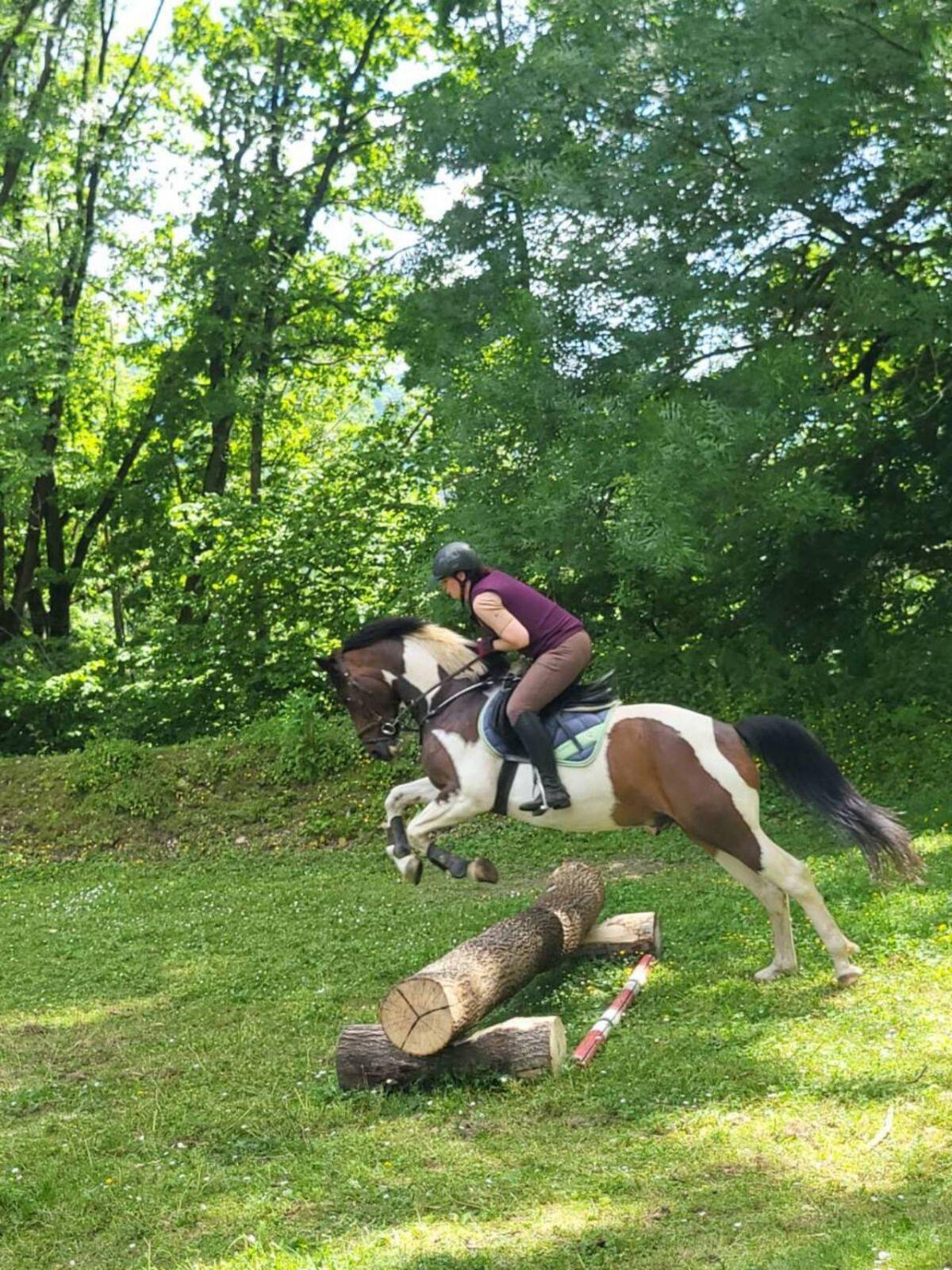 Mr. RONALDO, geb. 2016, 1,60 m groß 3