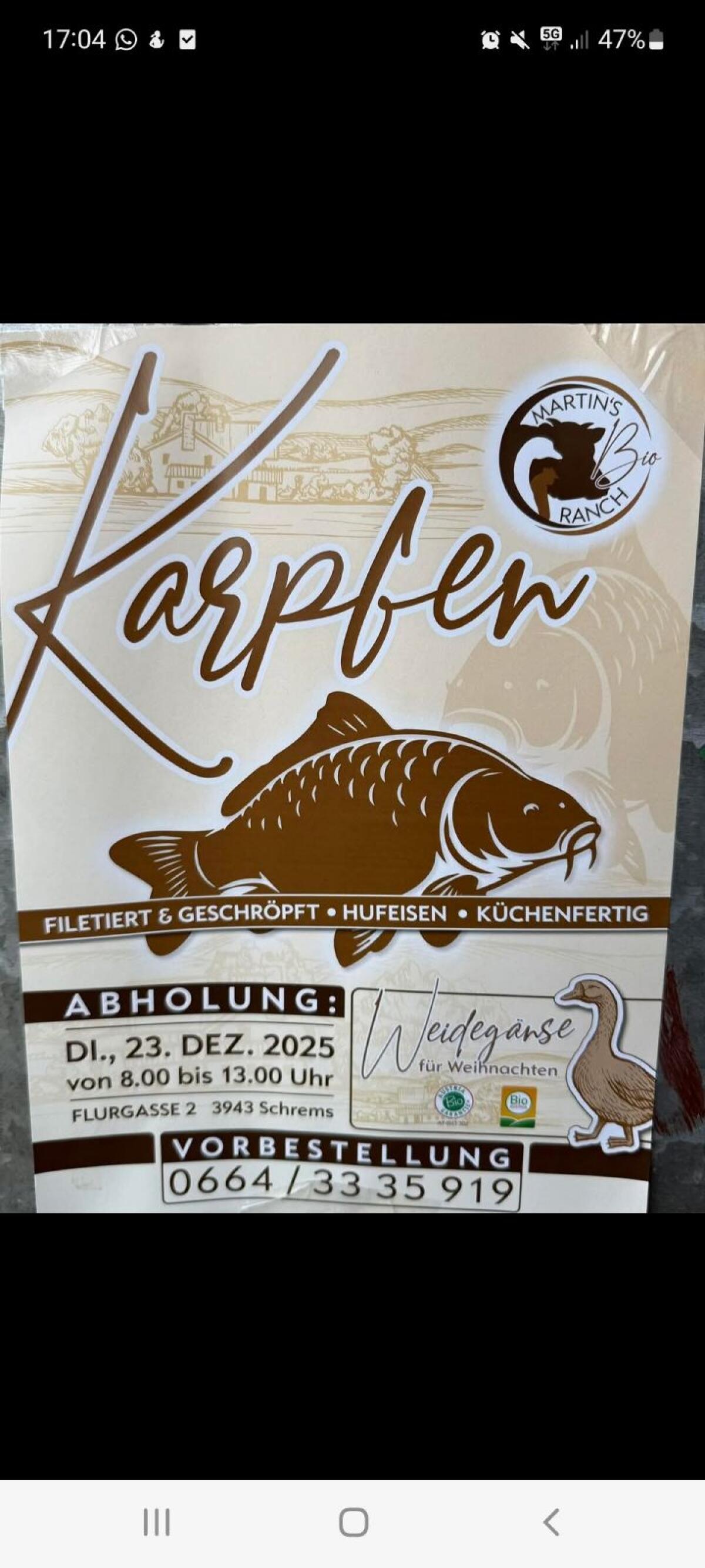 Weihnachtsgans / Weihnachtskarpfen 1