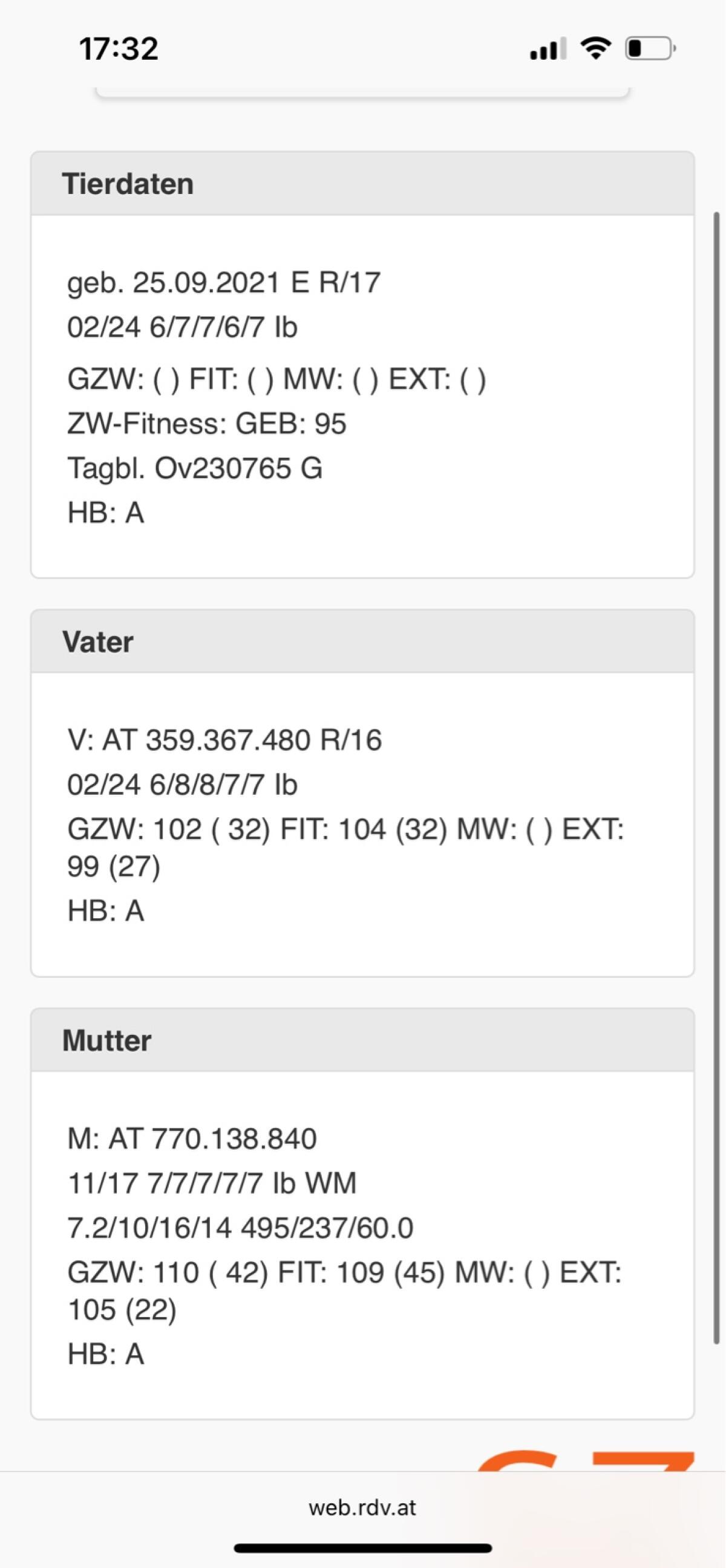 Verkaufe Hb Bergschafwidder 3