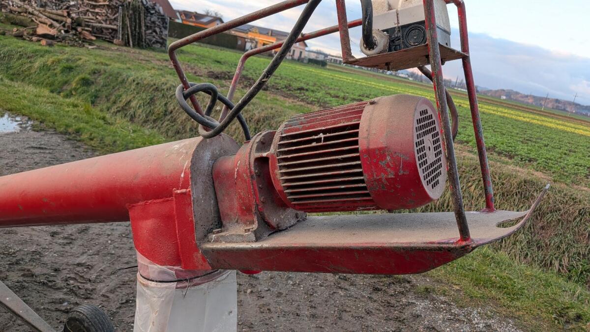 Körnerschnecke, Musschnecke 2