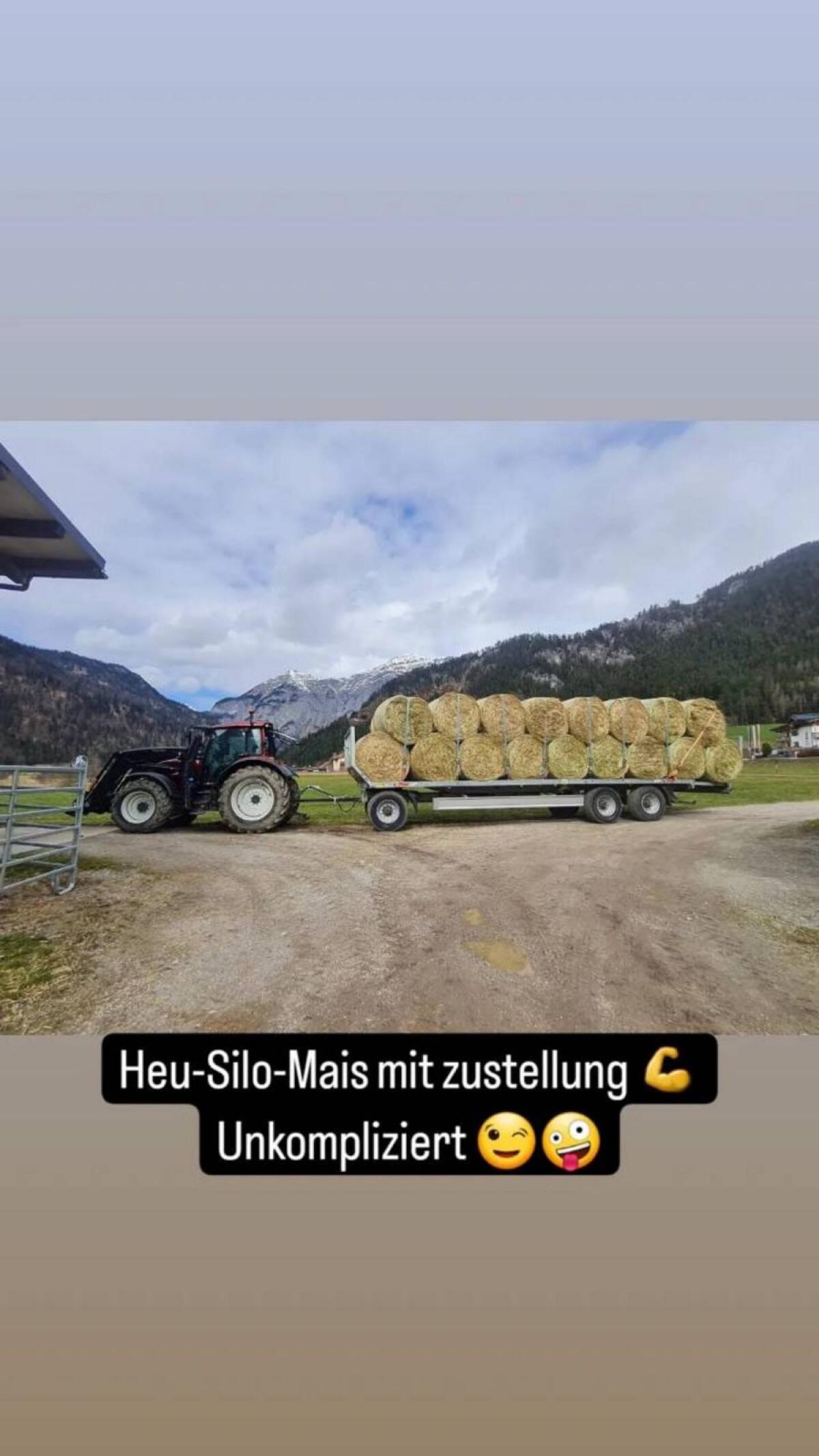 Heu Heuballen Maisballen 1