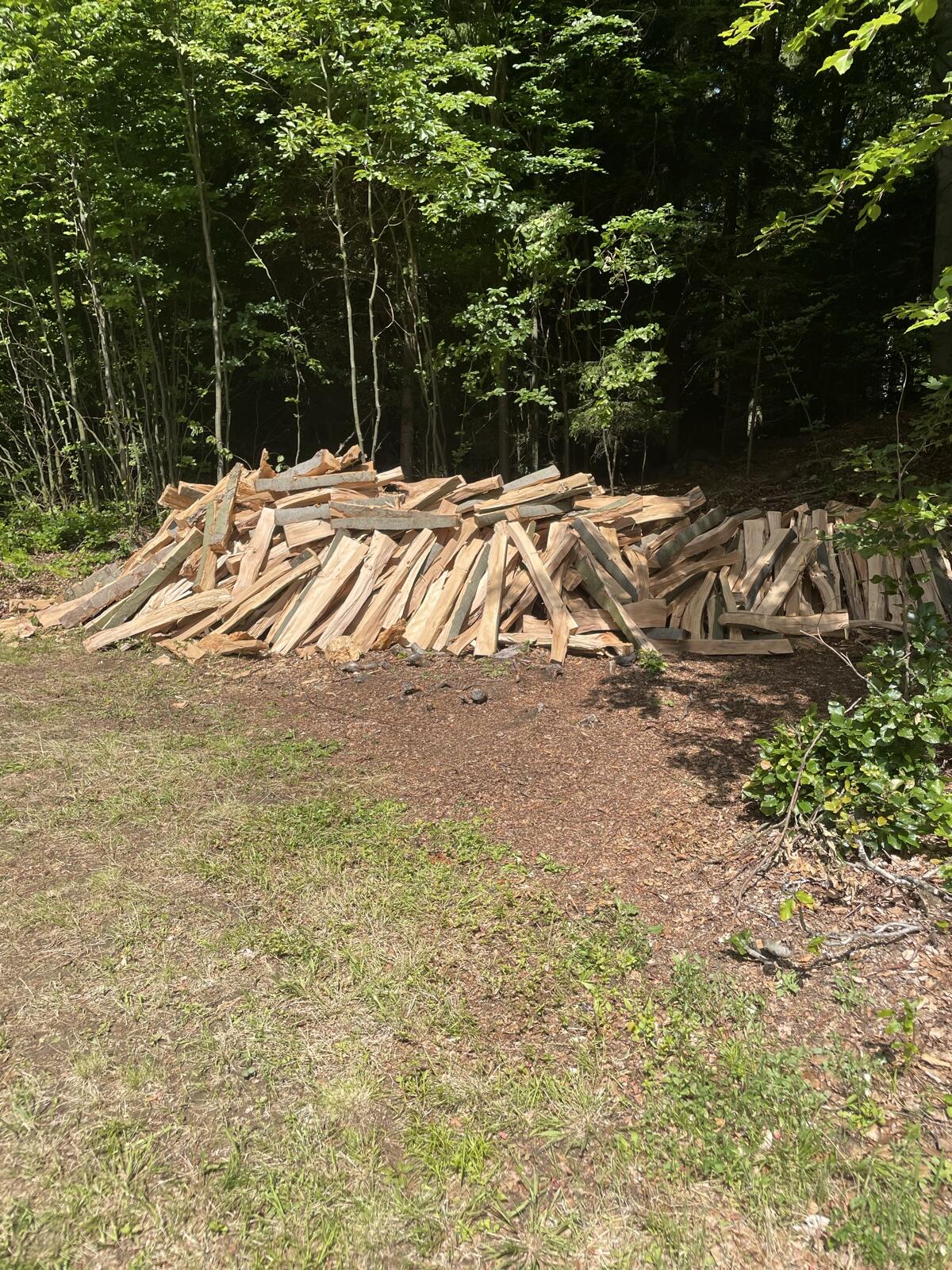 Hartes Brennholz Buche, Birke 2