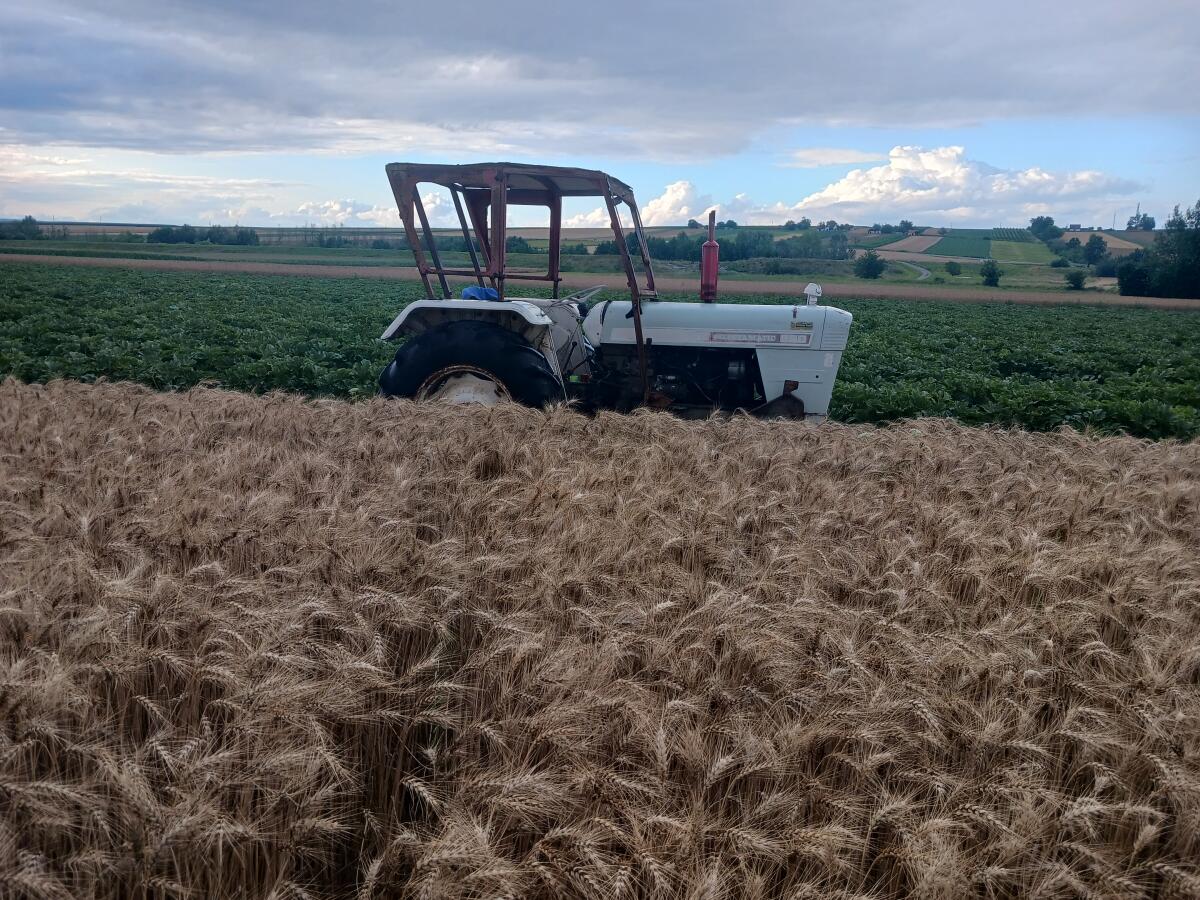 Case David Brown 990 1