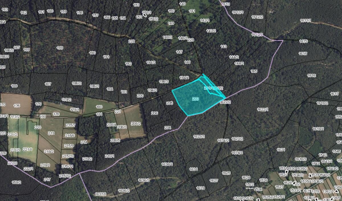 Waldgrundstück Zweierwald 1