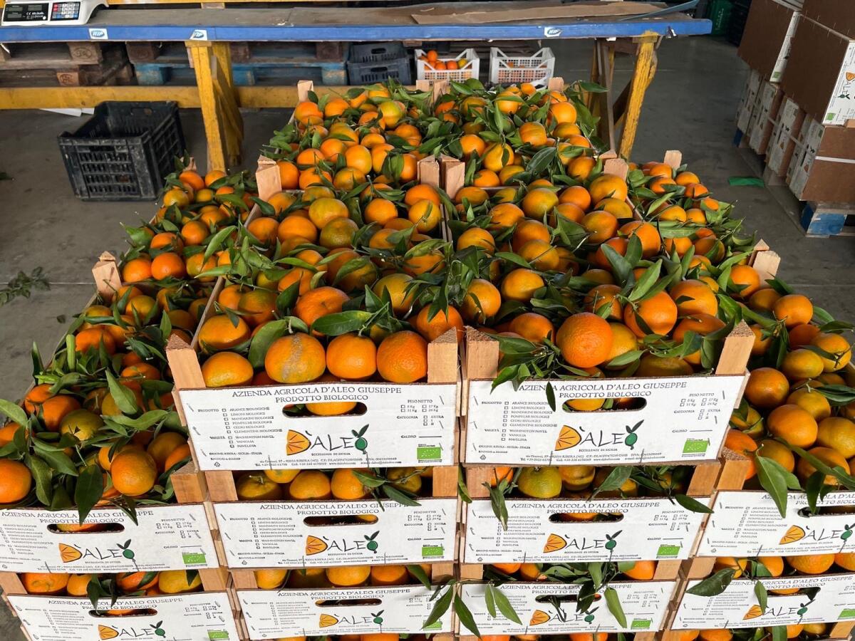 Bioprodukte aus Italien importiert 3