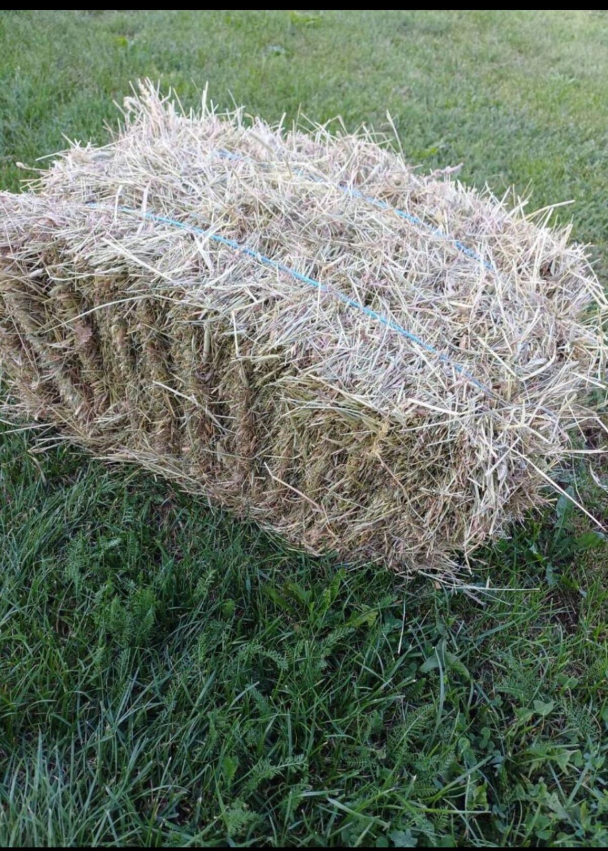 Heu 1. Schnitt 2025 1