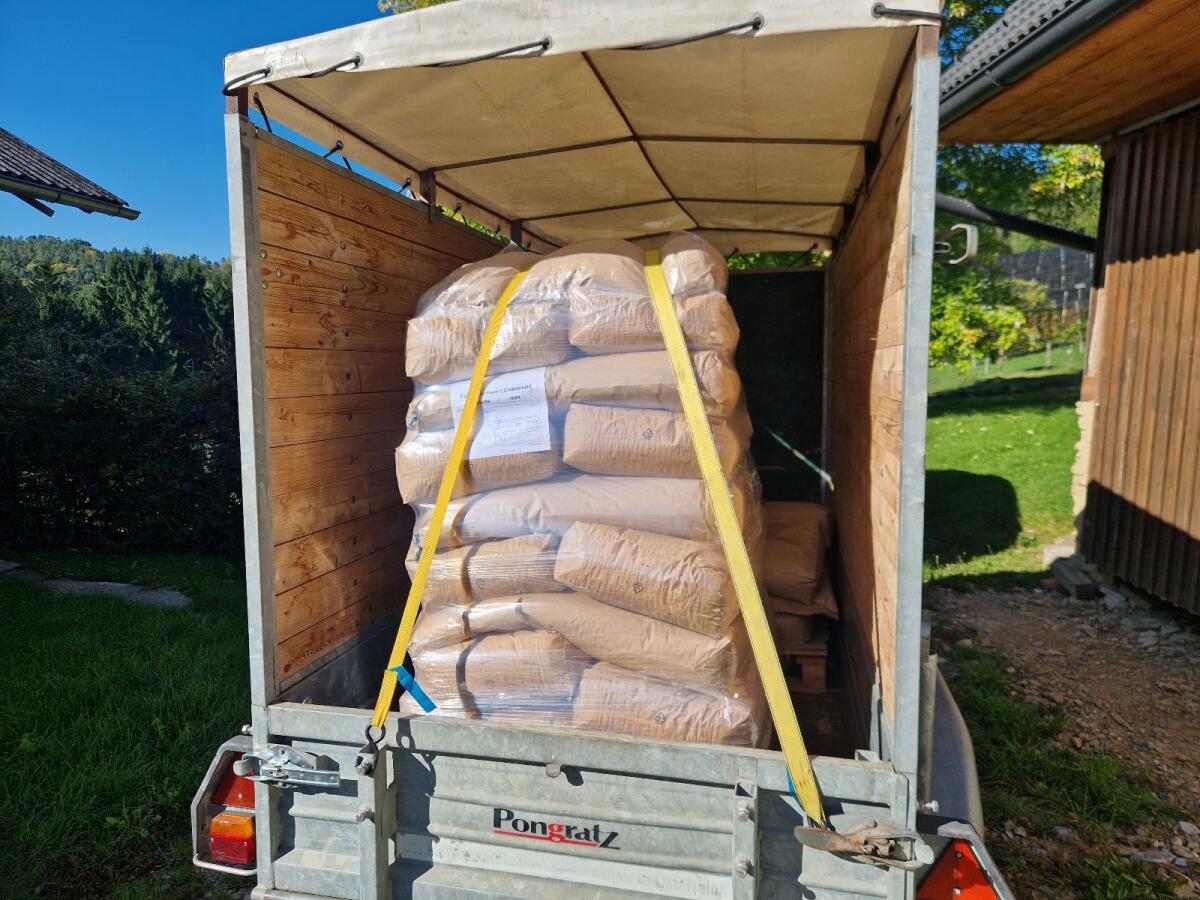 Kürbiskerne Sorte Rustikal 2