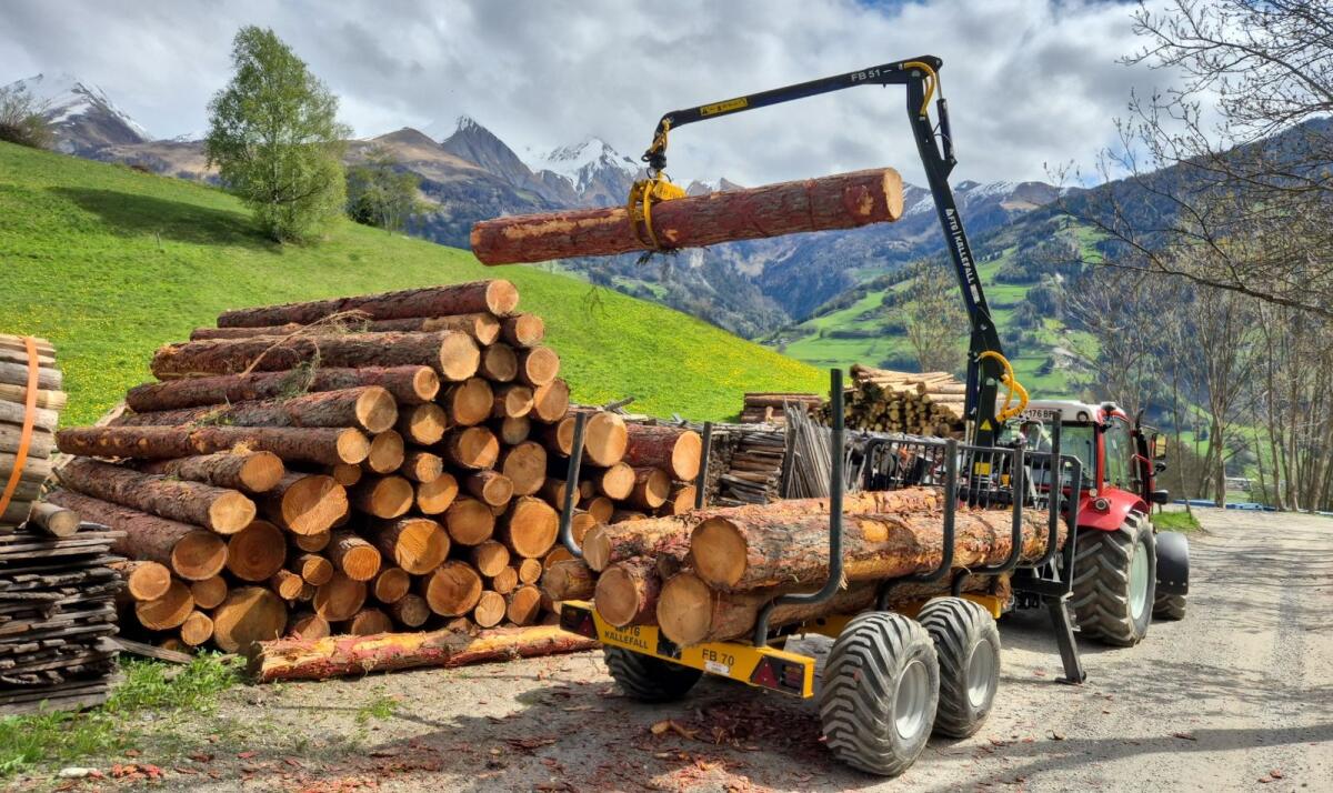 Forstanhänger FB70 2