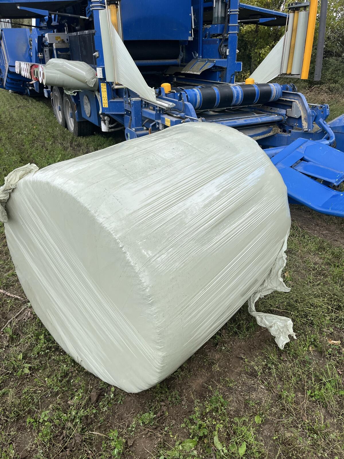 LUZERNE gehäckselt 2