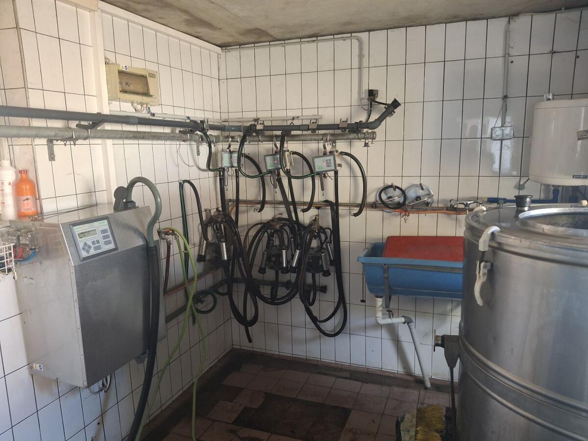 Rohrmelkanlage 1