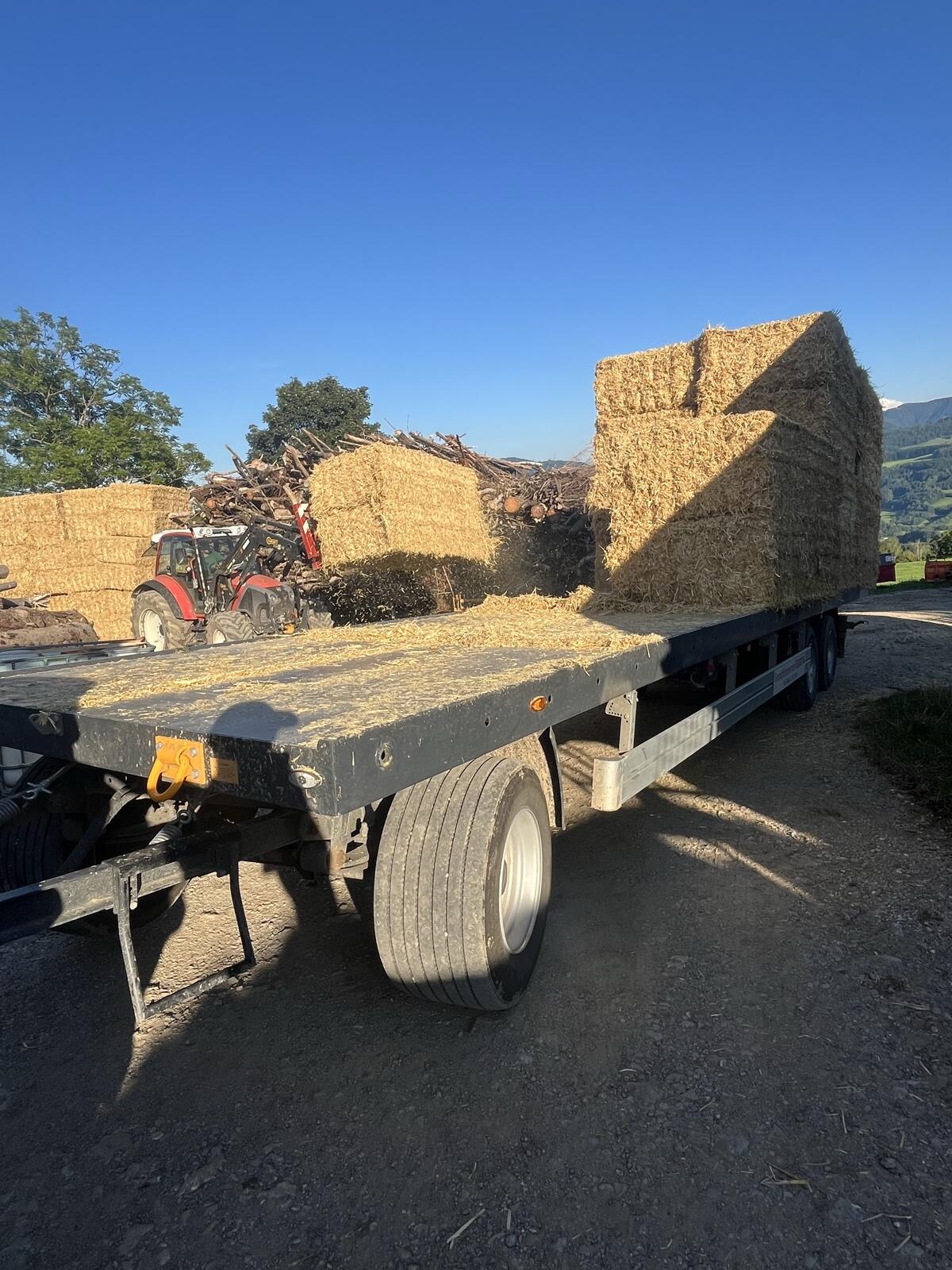 Verkaufe Stroh gepresst in Quaderballen 1