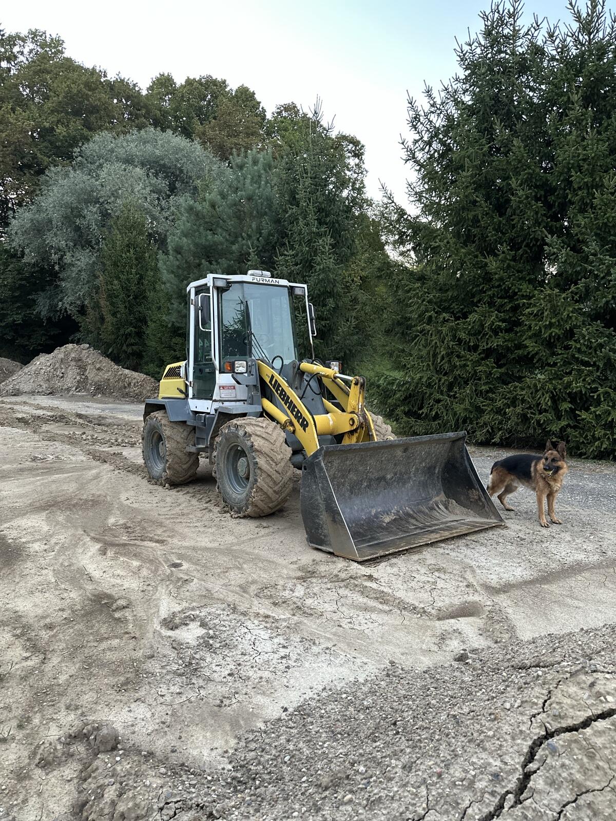 Liebherr 509 Bj. 1997 3