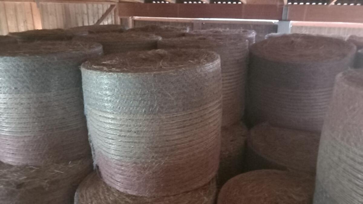 Heu zu verkaufen – 1. Schnitt 3