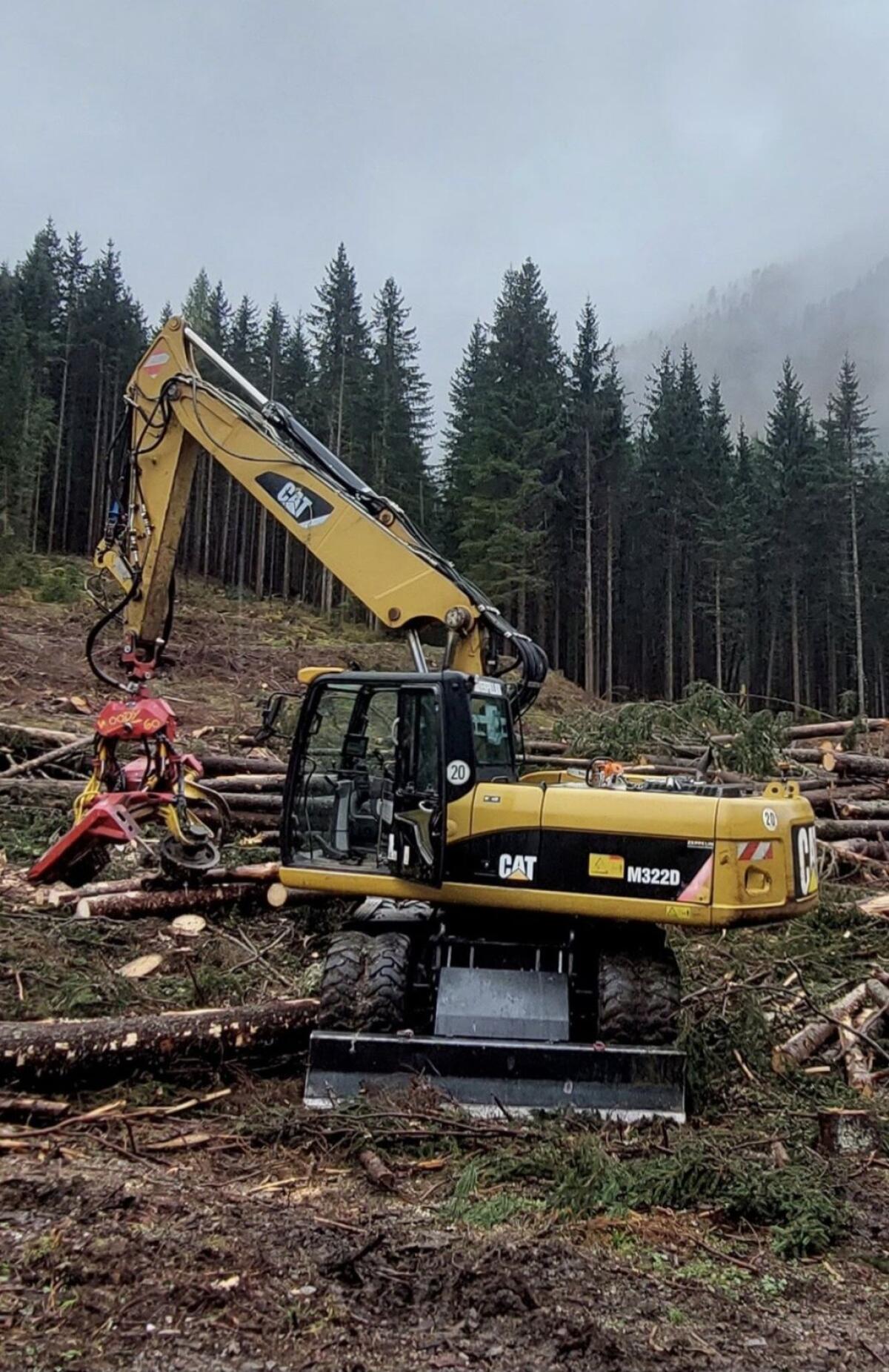 Forstbagger CAT Radbagger 323 D 3