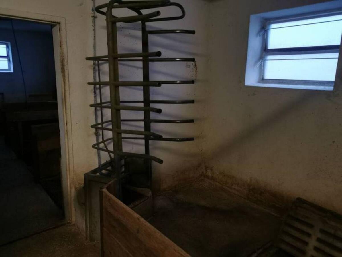 Schweine Abferkelbuchten 2