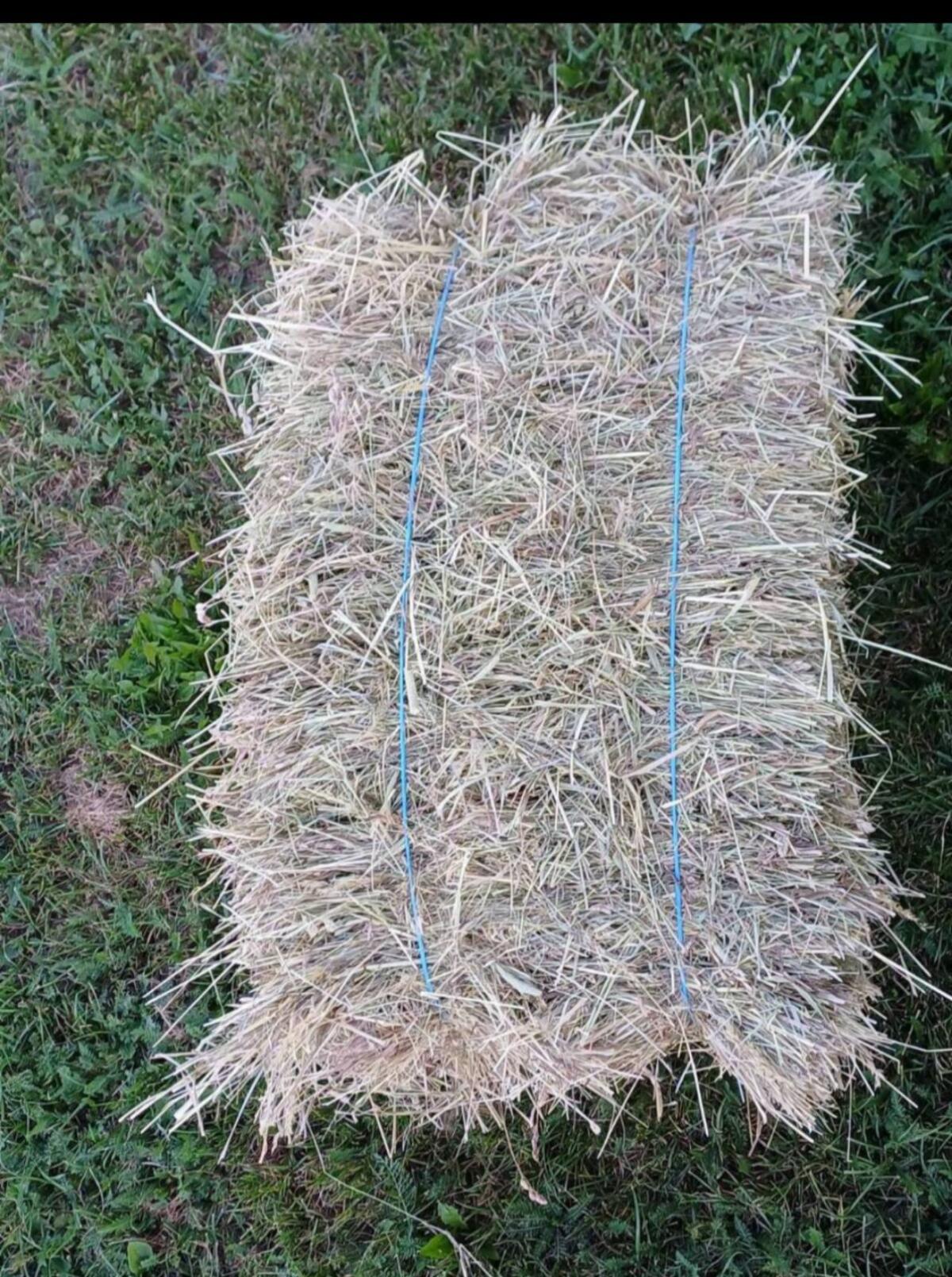 Heu 1. Schnitt 2025 3