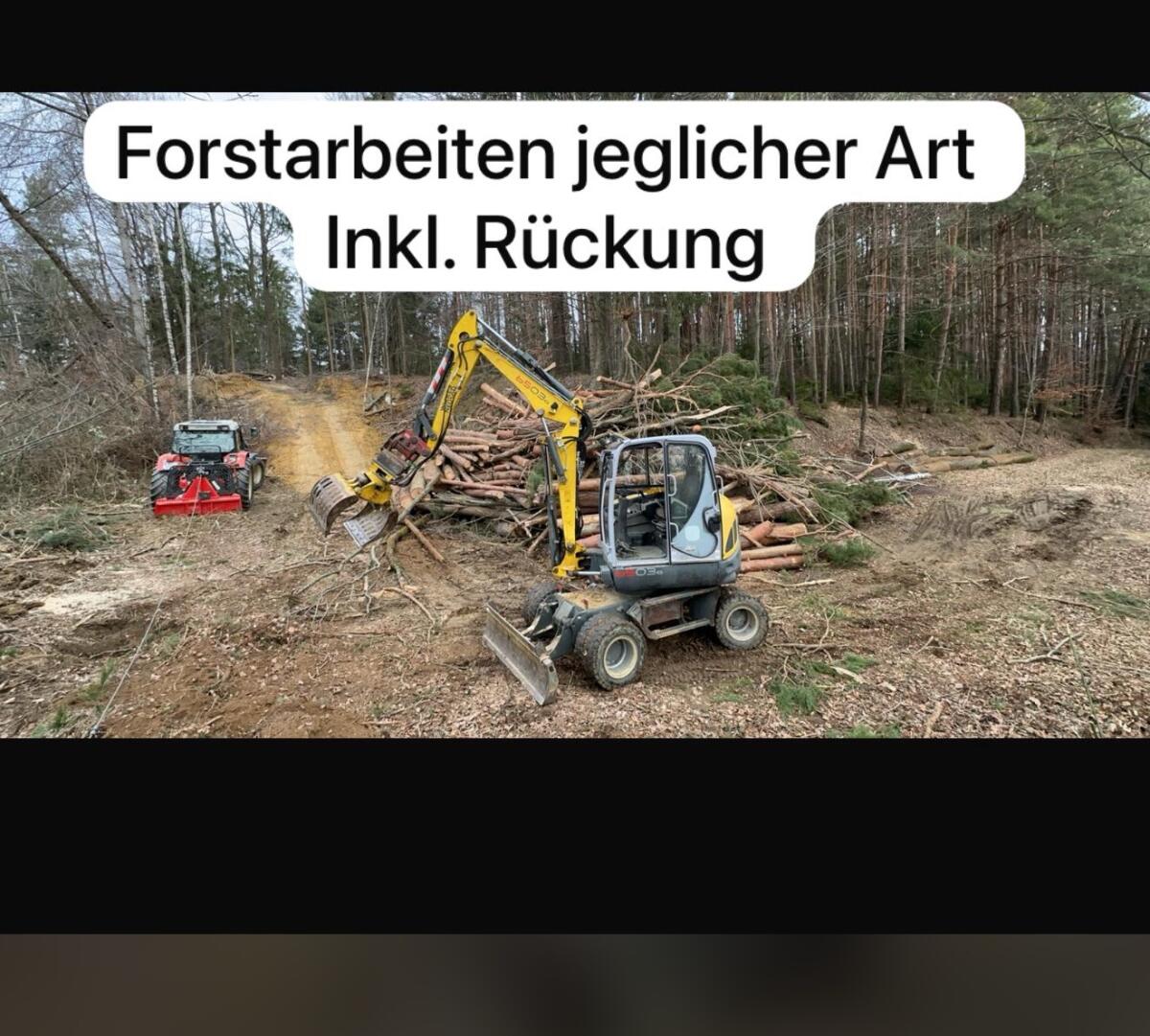 Holzschlägerung 2