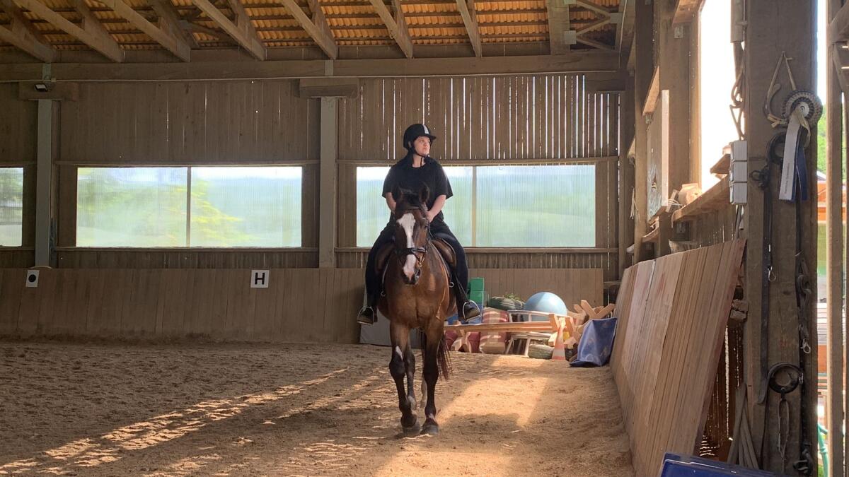 Wunderschönes Freizeitpferd Ad Libitum 3