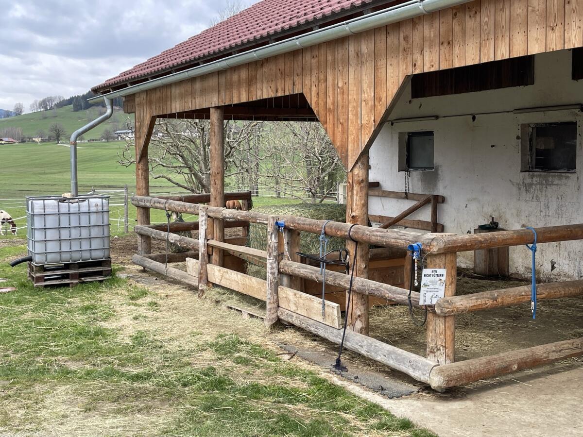 Offenstall für Selbstversorger 1