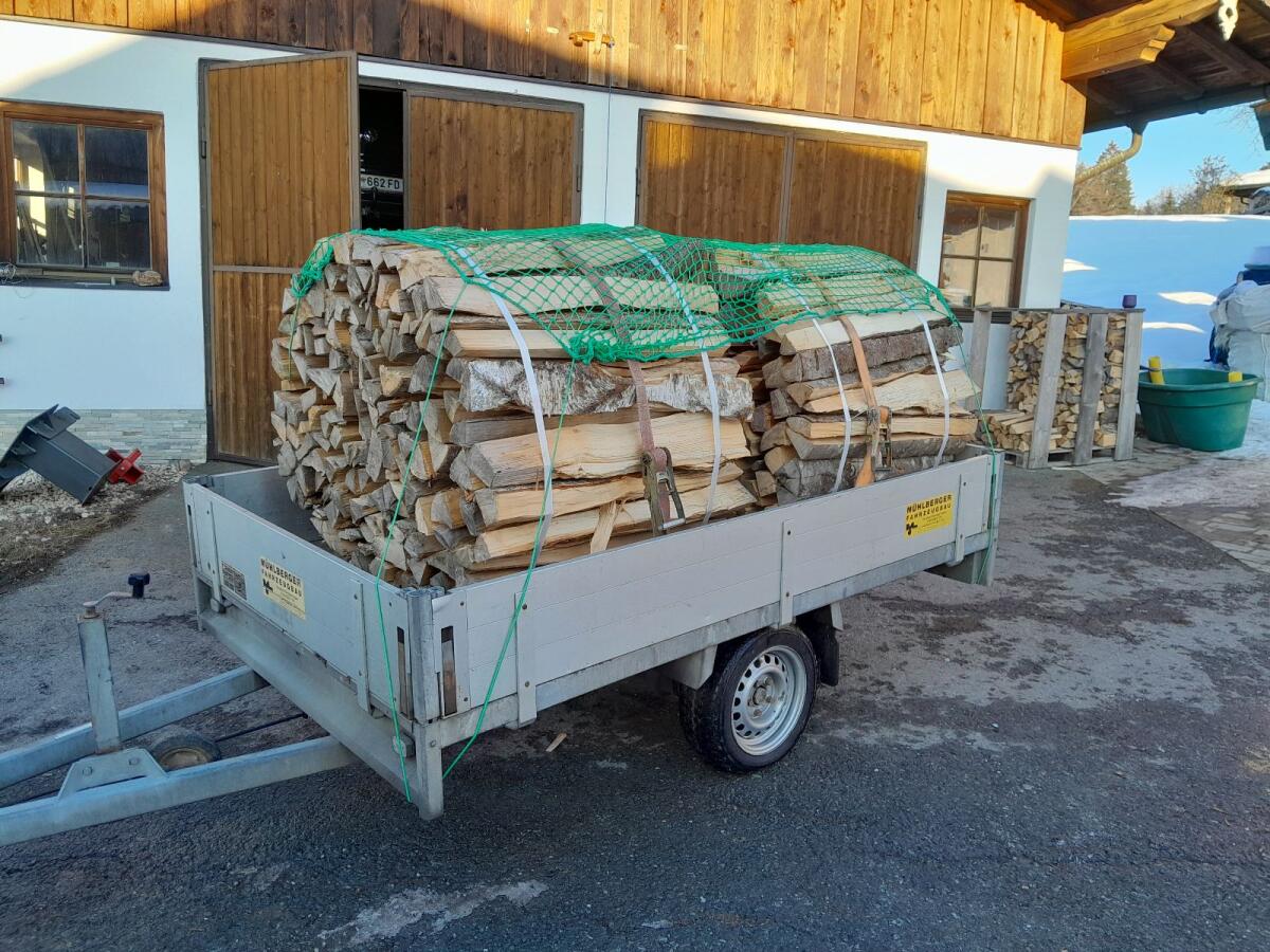 Brennholz 1
