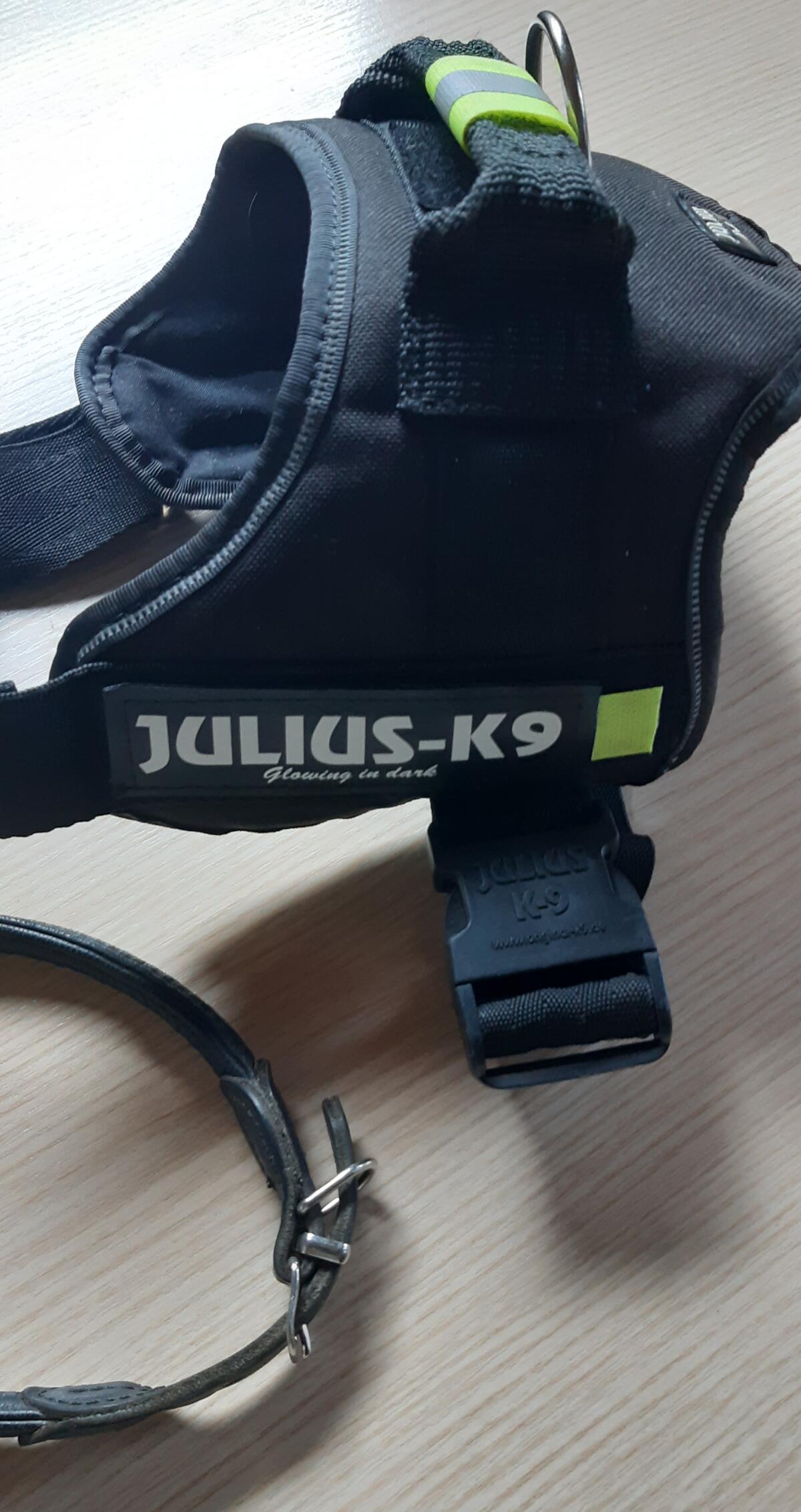 Brustgurt für Hund inkl. Lederleine Julius-K9 1