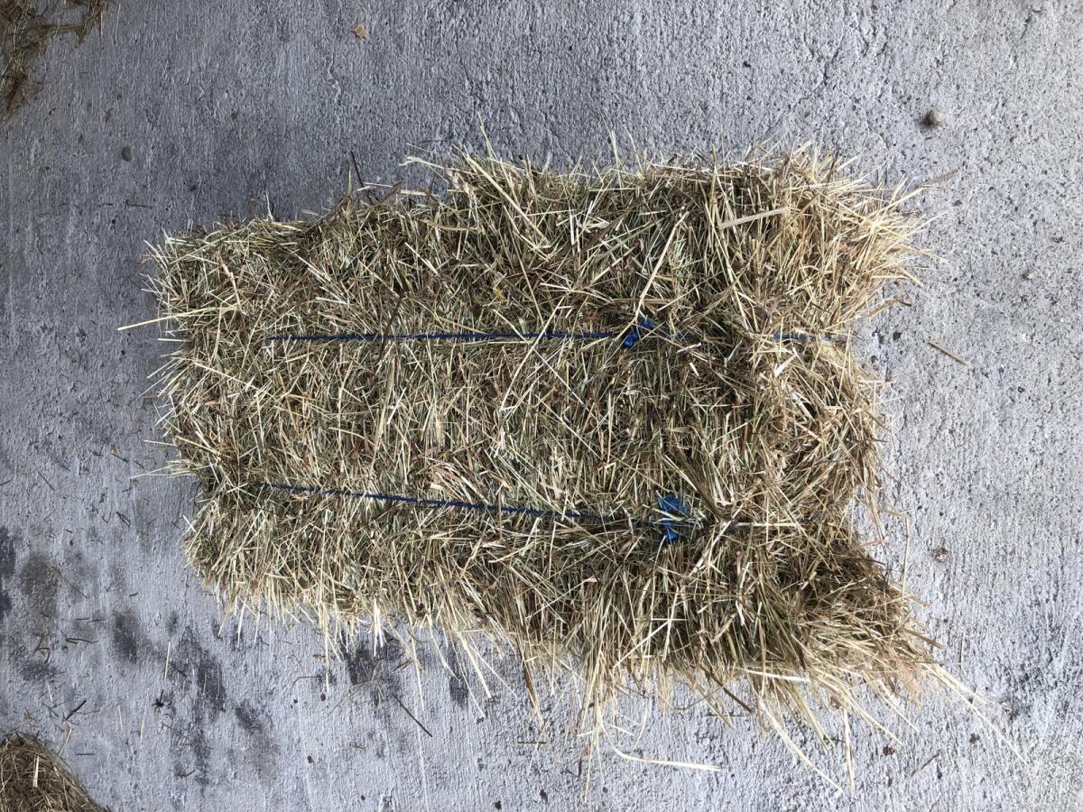 Kleine Heuballen, 1. und 2. Schnitt 1