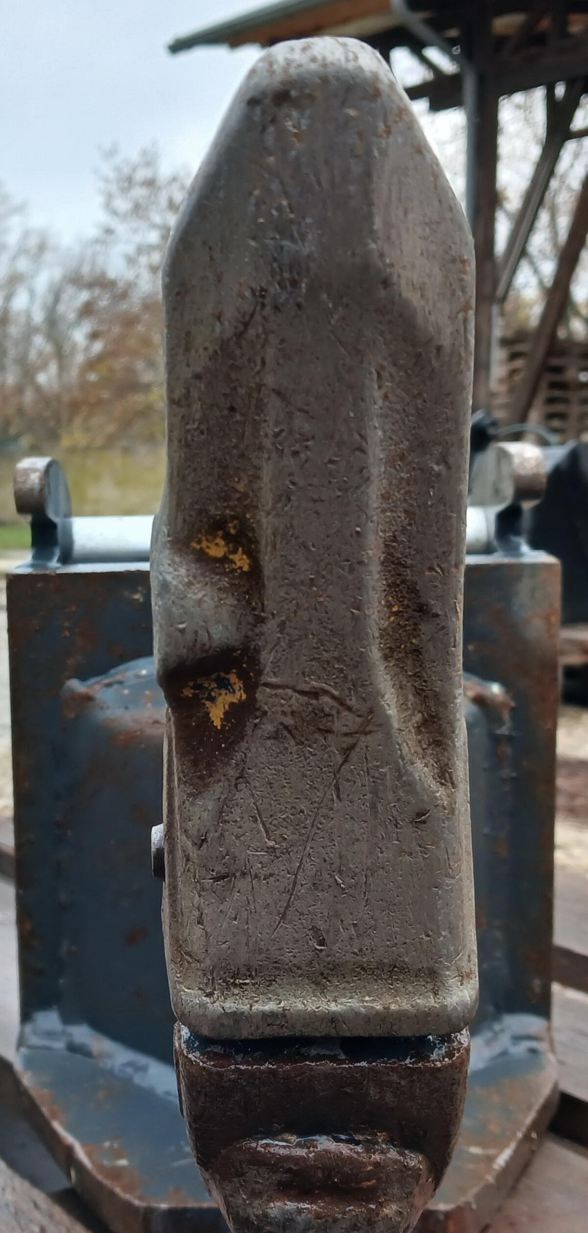 Reißzahn SWM 010 Geel 3