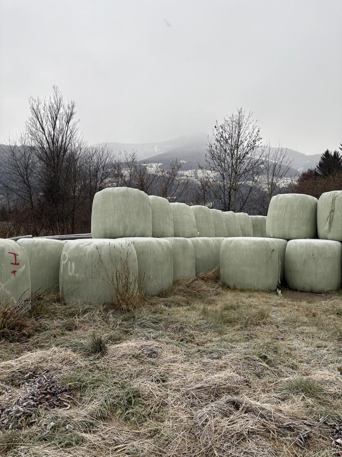Silageballen 1