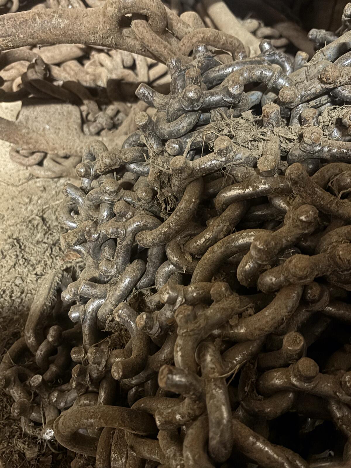 Netzigelketten Marke Pewag 2