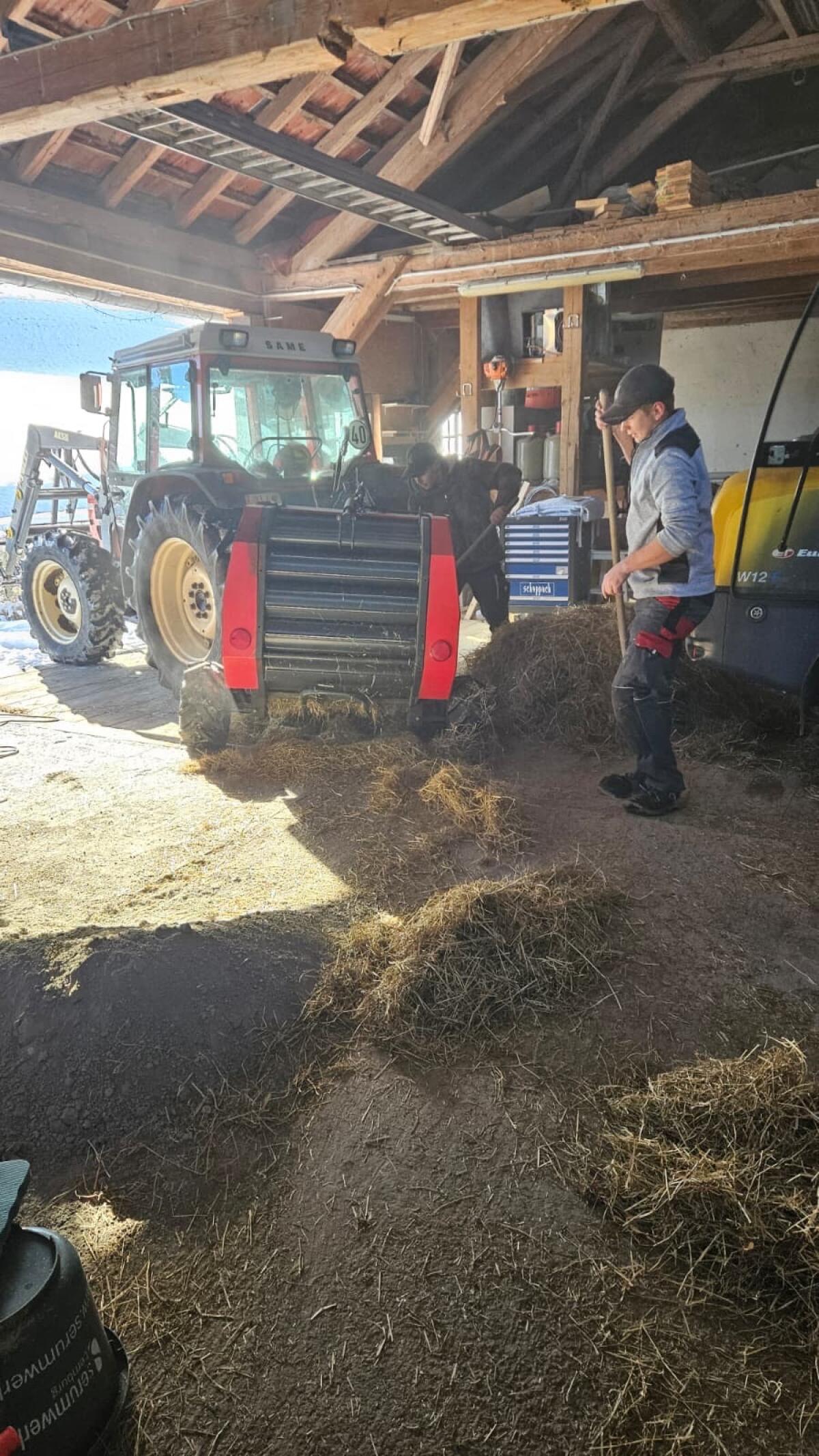 Kleinballen Rauspresse 2