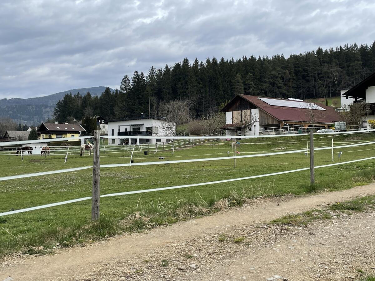 Offenstall für Selbstversorger 2