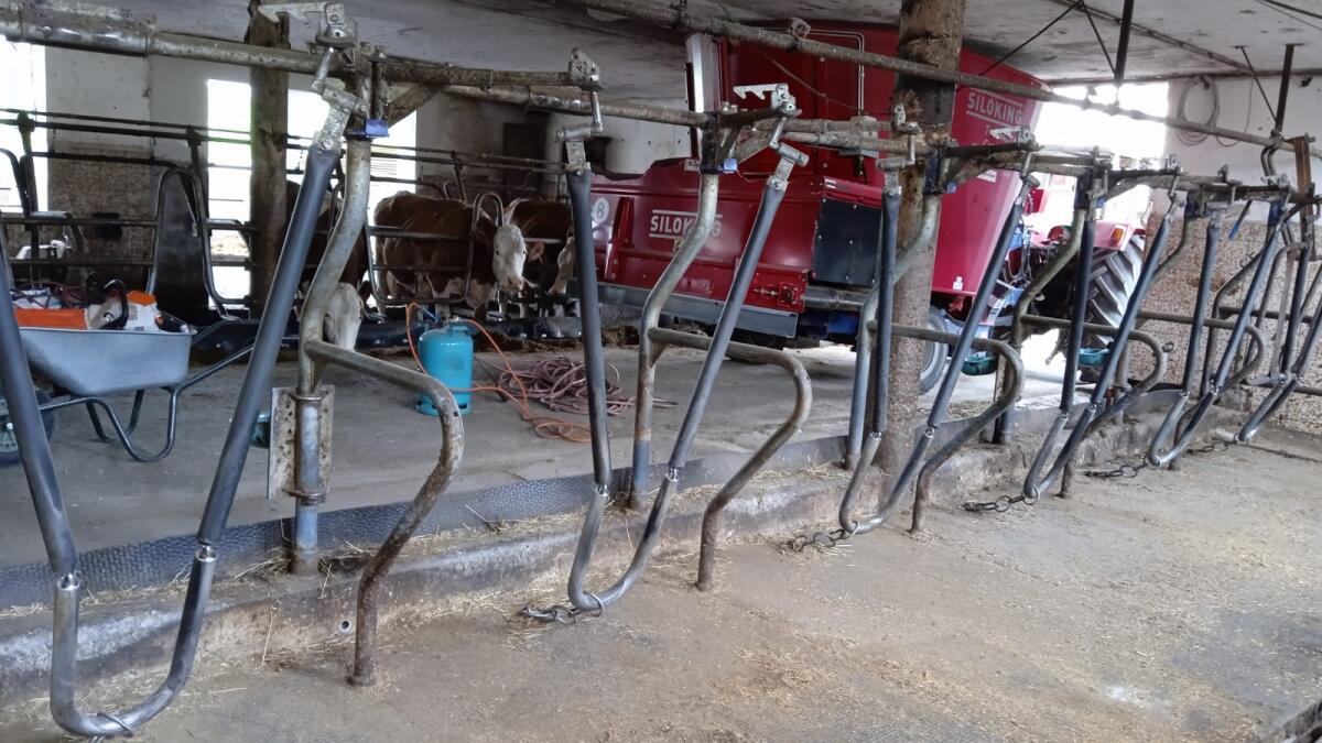 Selbstfang-Halsrahmen Felder 2