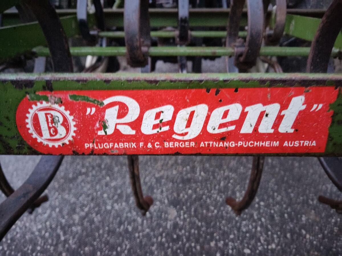 Regent Federzinkengrubber 3