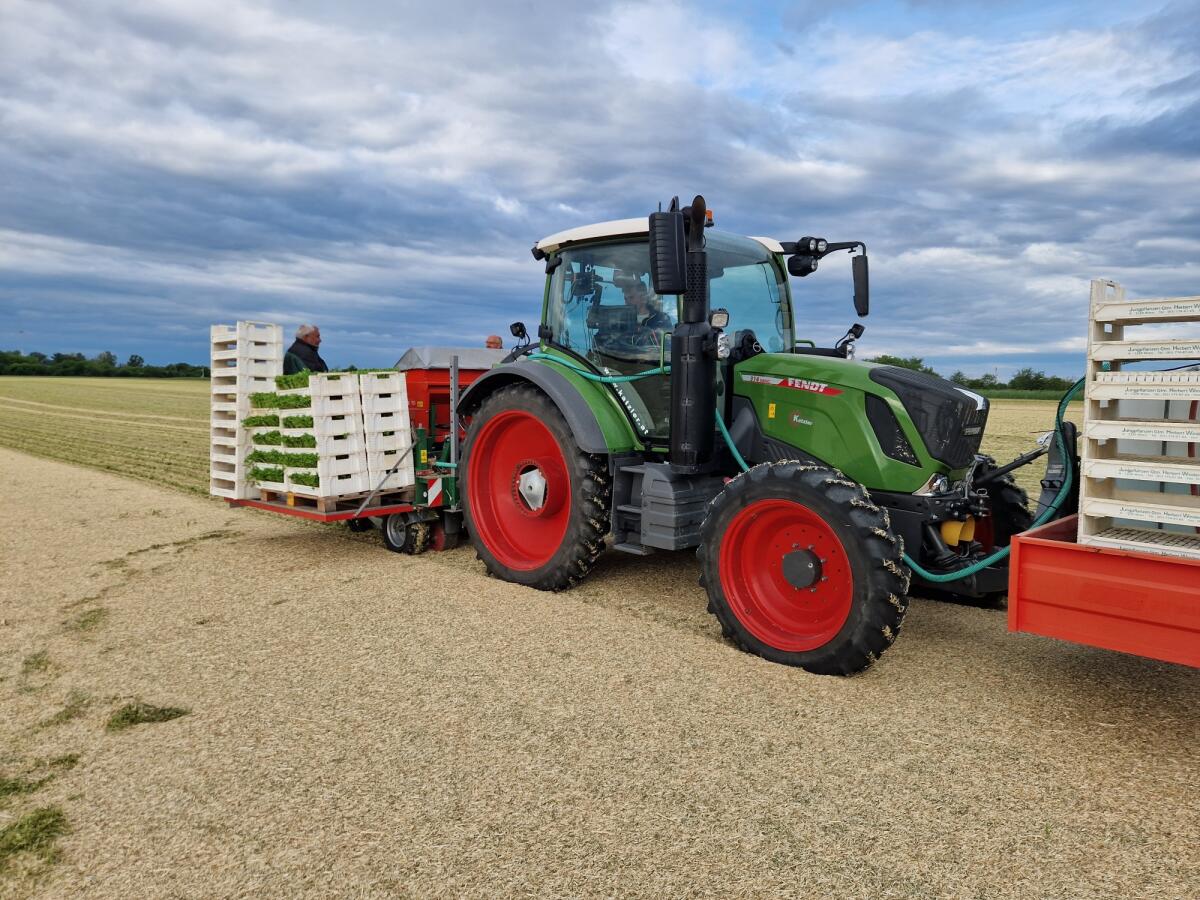 Mulchtec Planter Gemüse-Pflanzmaschine 1